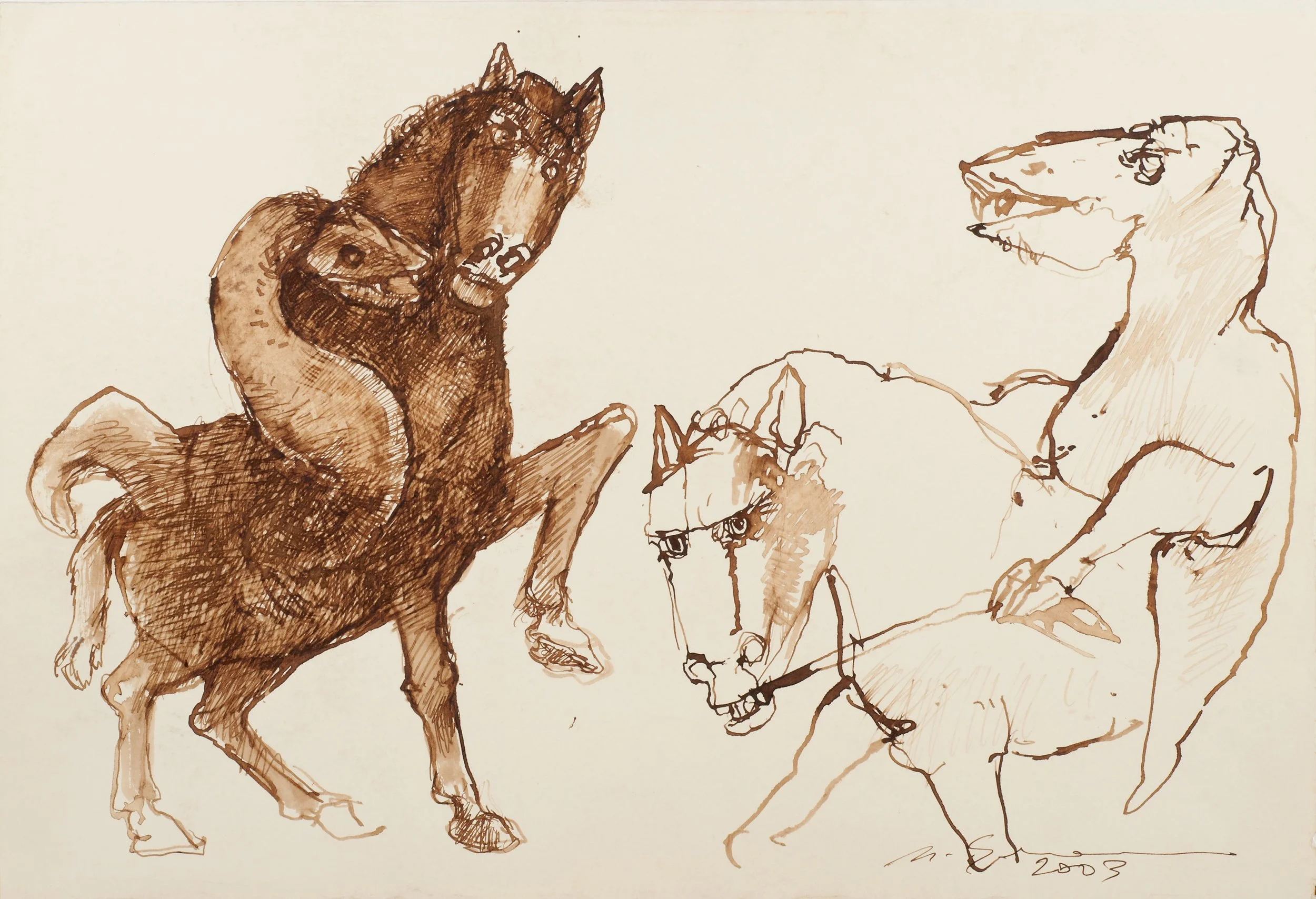 DSC_8029 cópia_1.jpg