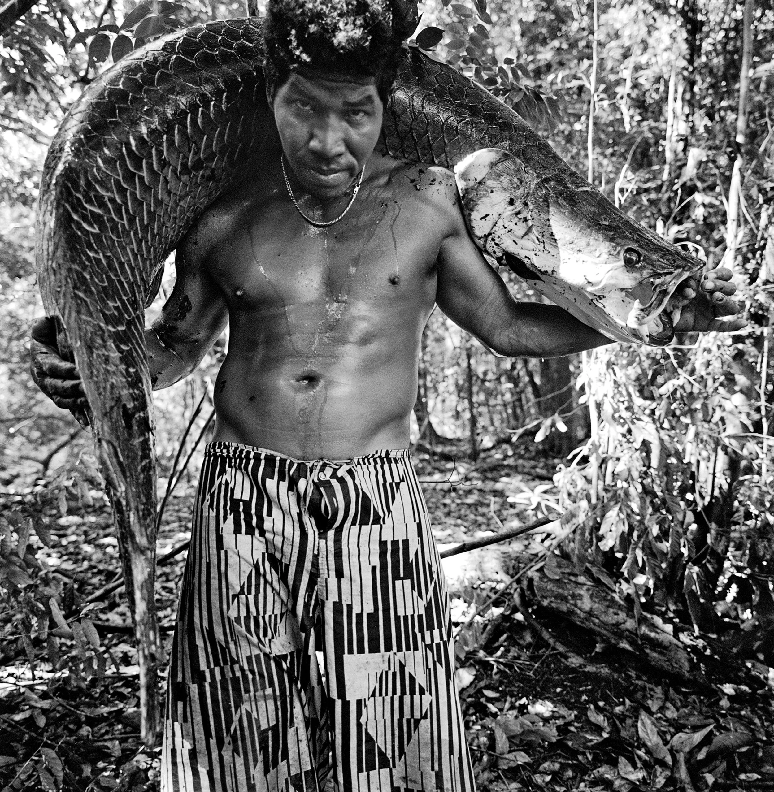 Série Amazônia | Marcos Félix, RDS Mamirauá, comunidade Cuiabá, Fonte
Boa, AM, 2011, pigmento mineral sobre papel de algodão Hahnemühle Museum Etching, 40 x 40 cm