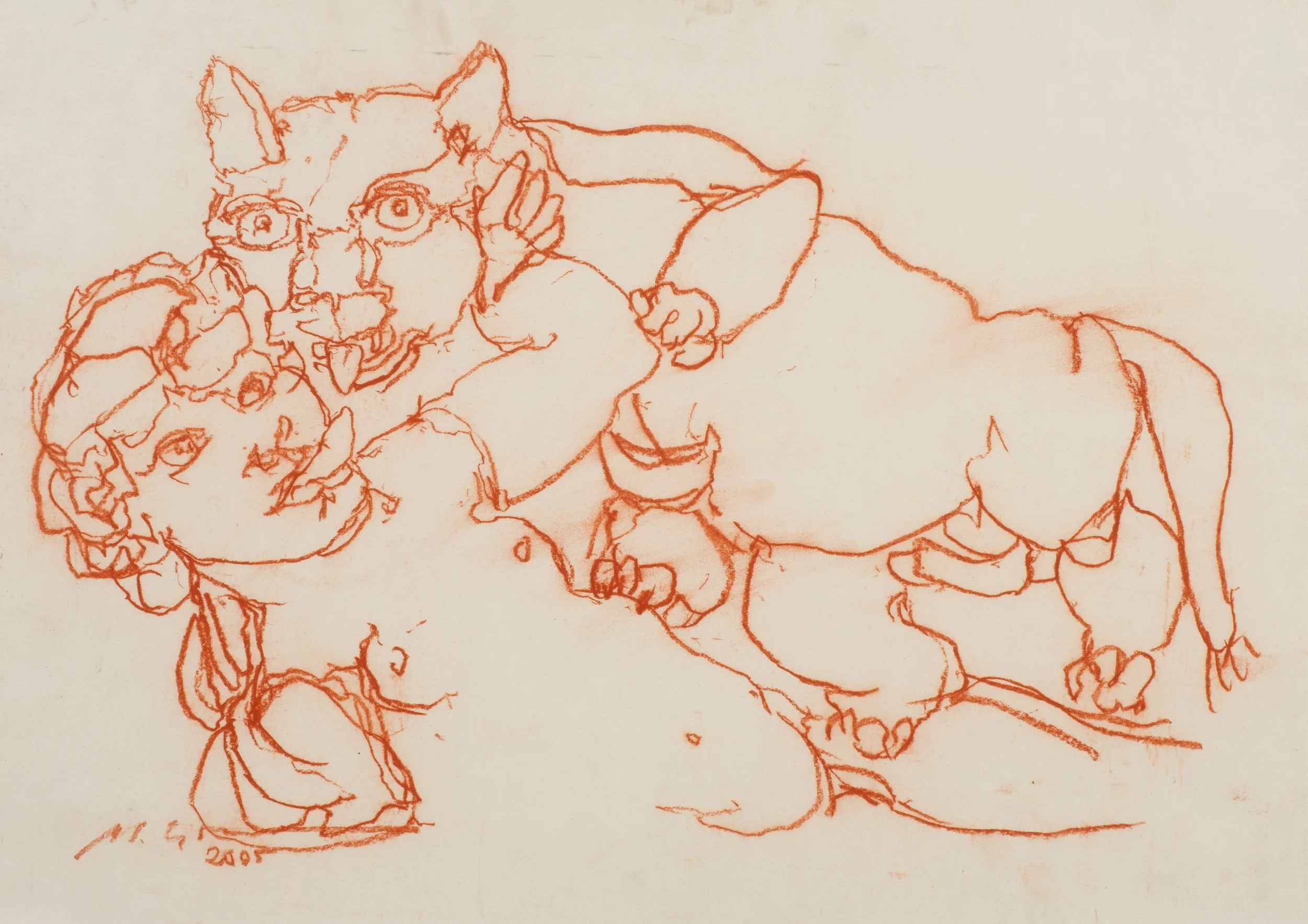 DSC_8038 cópia_1.jpg