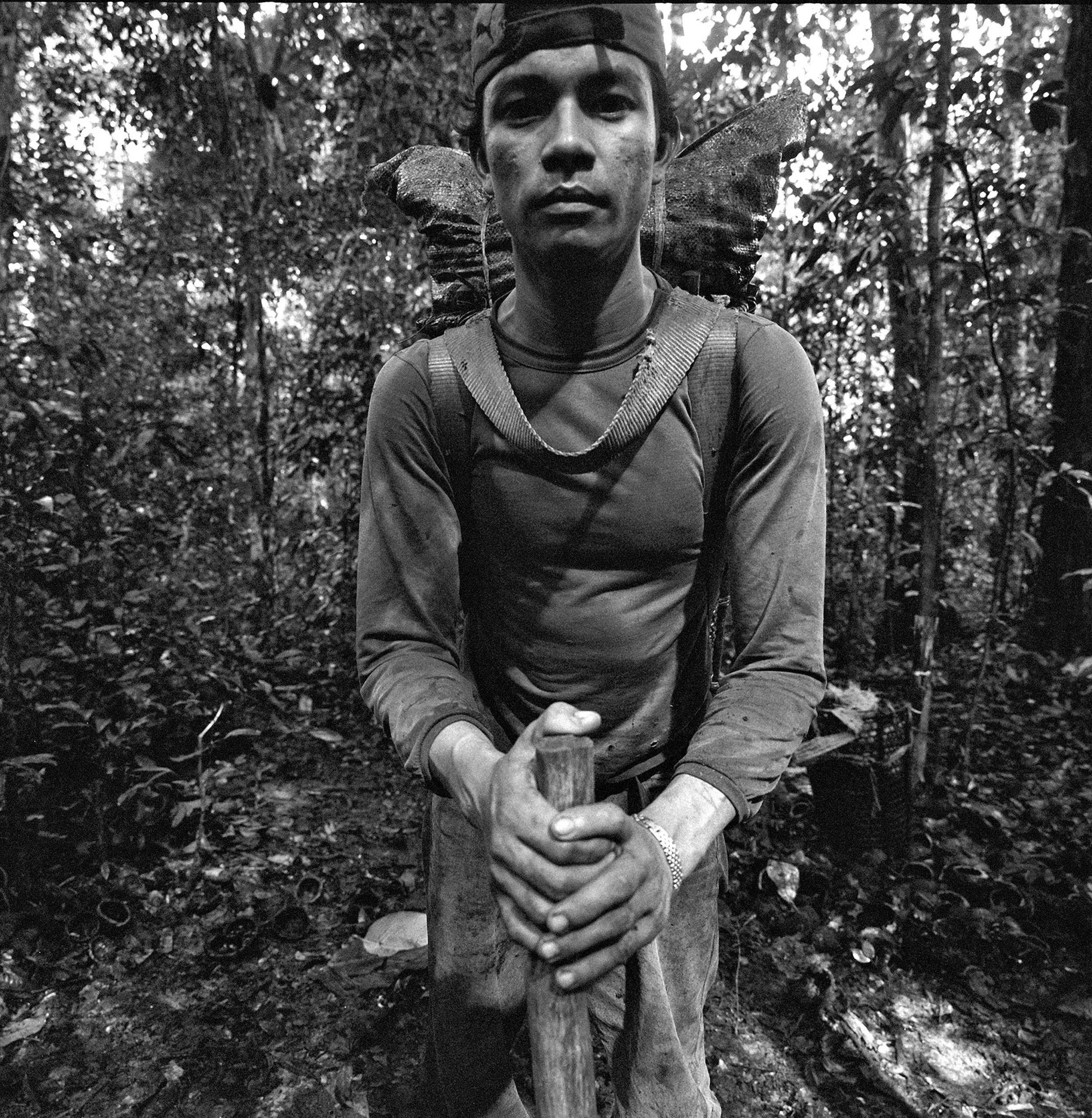 Série Amazônia | Rafael dos Santos, castanhal Fé em Deus, Rio Iratapuru, AM, 2011, pigmento mineral sobre papel de algodão Hahnemühle Museum Etching, 40 x 40 cm