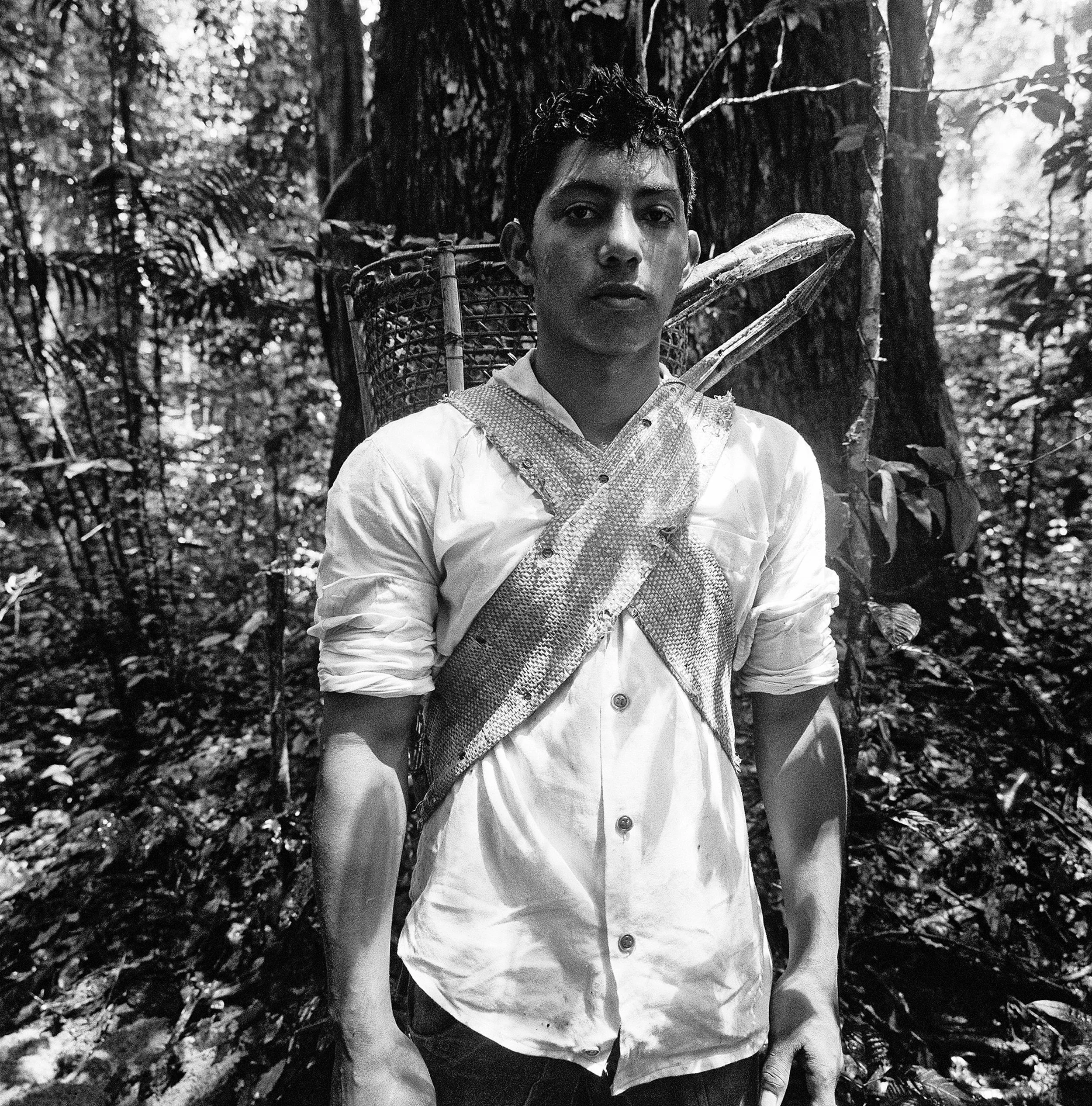 Série Amazônia, 2011, pigmento mineral sobre papel de algodão Hahnemühle Museum Etching, 40 x 40 cm