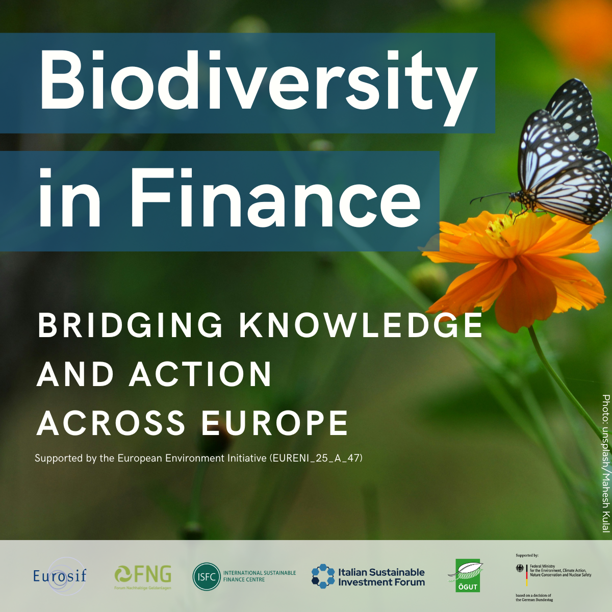 Workshop - Biodiversity in Finance: Bridging Knowledge and Practice