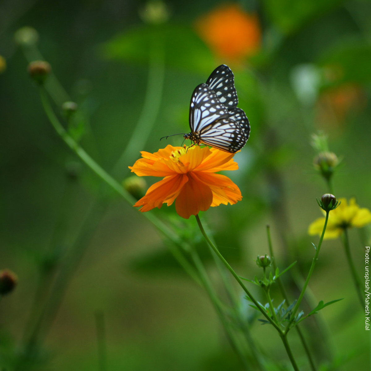Biodiversity in Finance - Bridging Knowledge and Action Across Europe