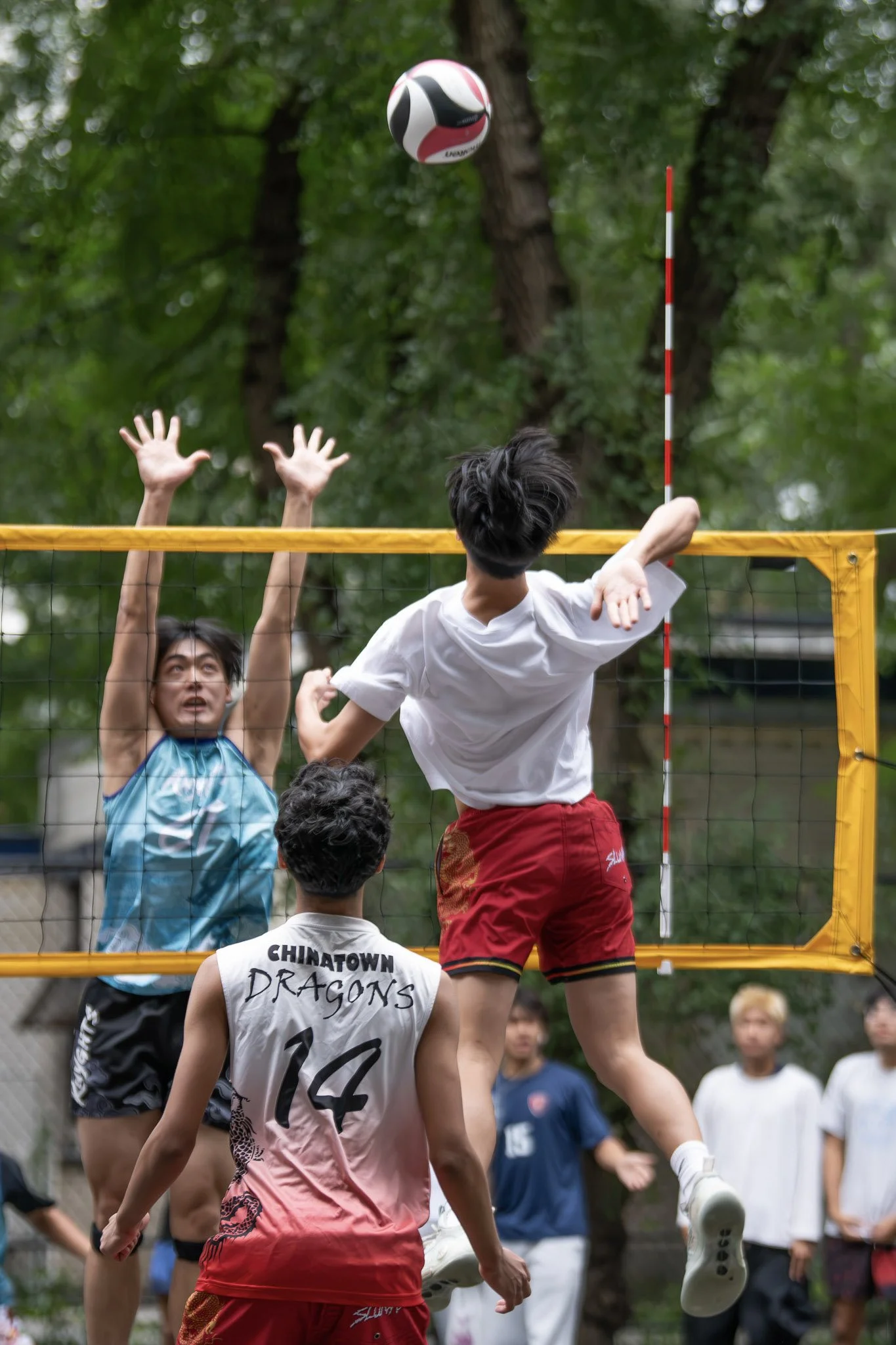 10-DSC_3382.jpg