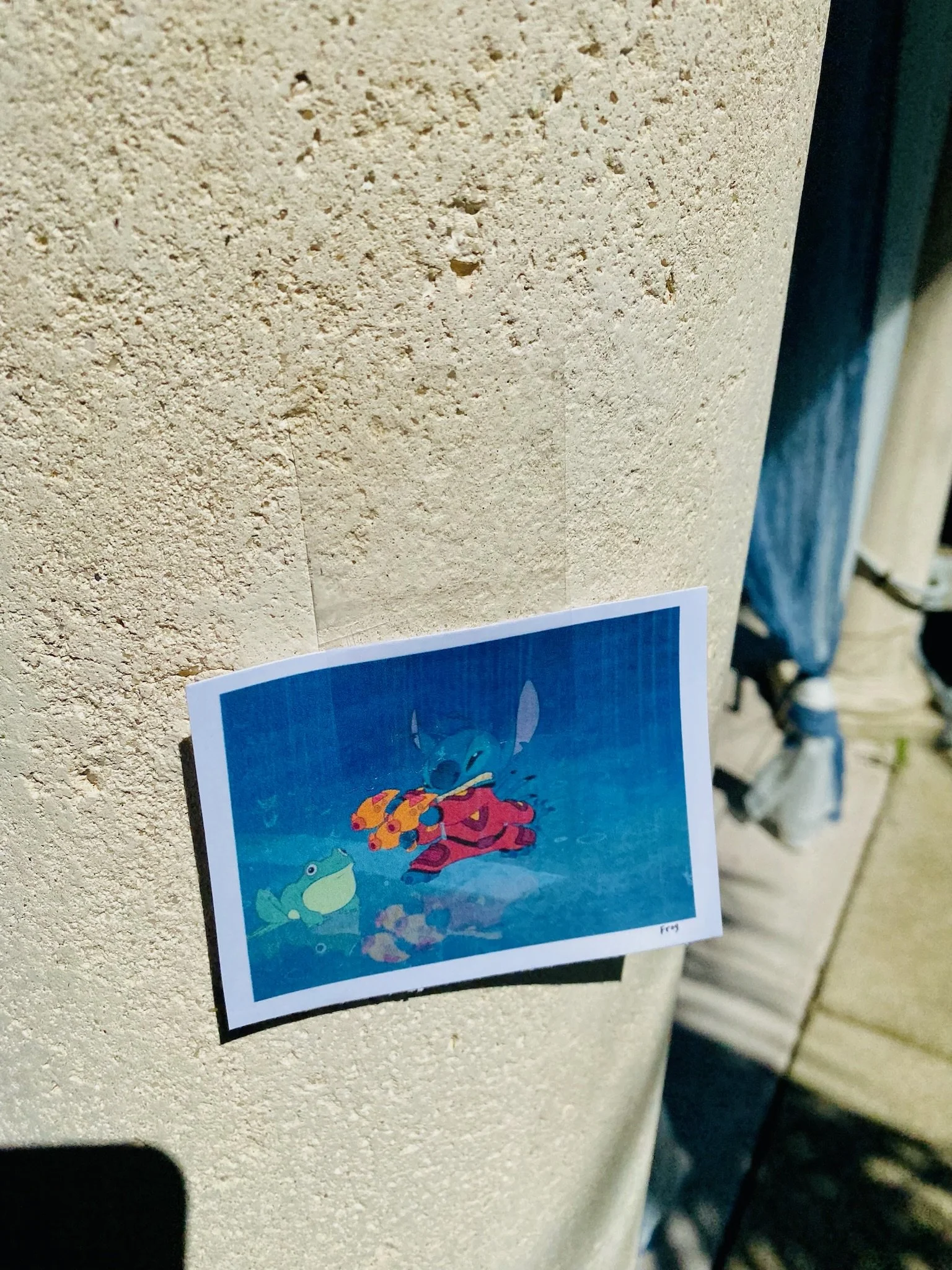 IMG_8812.jpeg