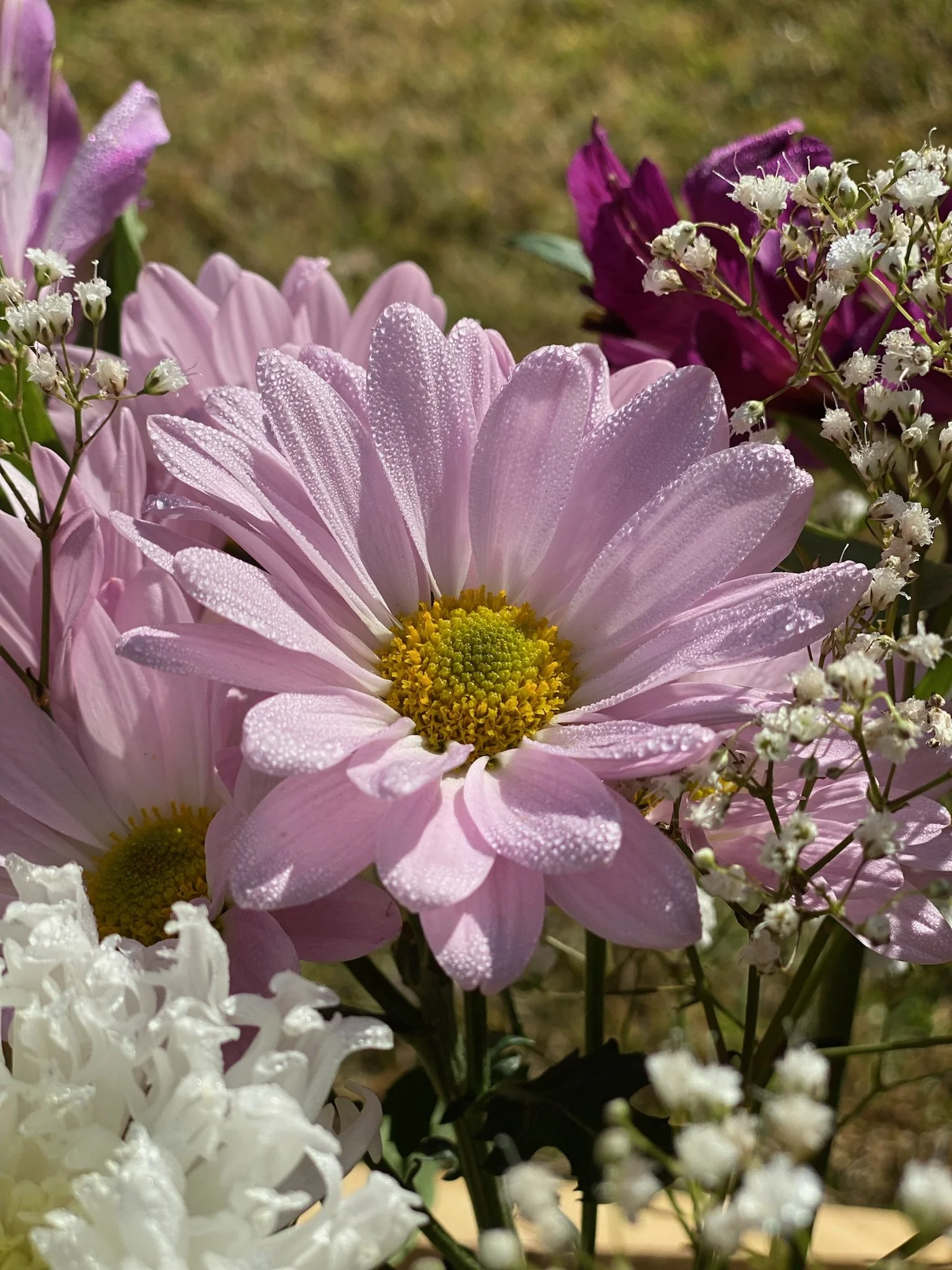 IMG_4928.jpeg