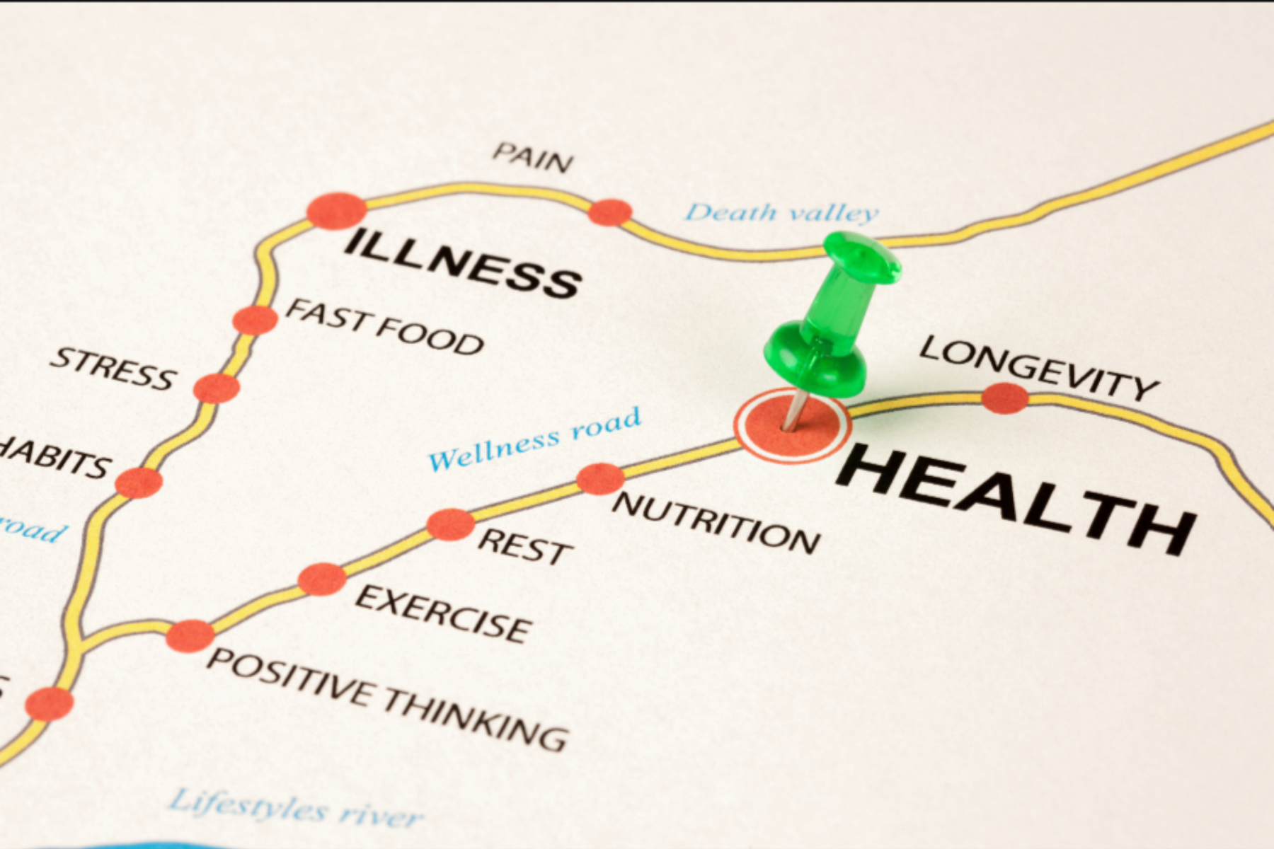 Continuous VIP Coaching Access (For previous clients only)