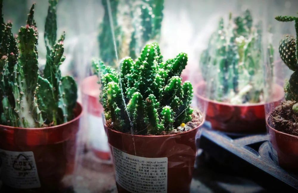 Mekling i private tvister