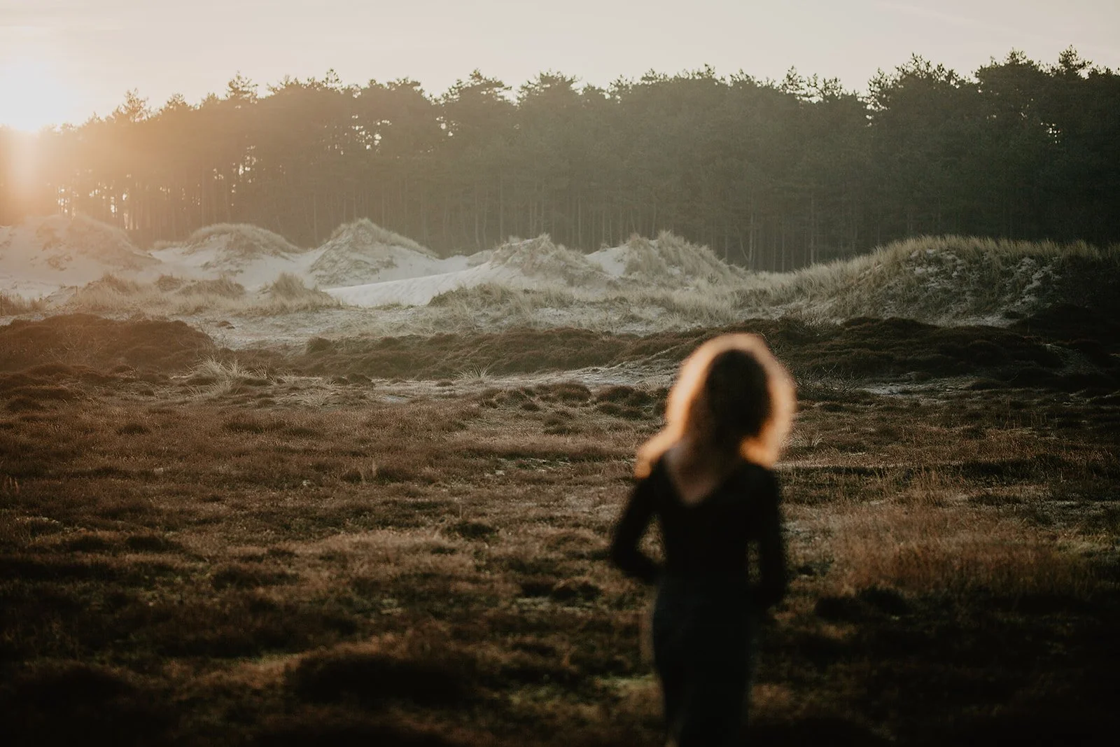 A woman standing on a grassy area facing the ocean at sunset with waves crashing on the shore and a forest in the background.