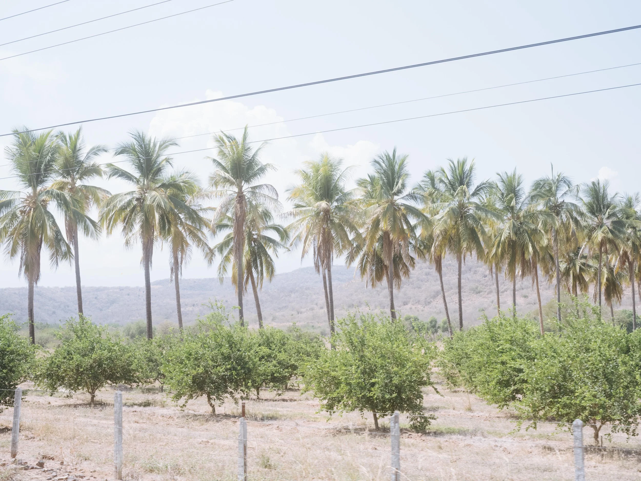 DSCF9573 copia 2.jpg