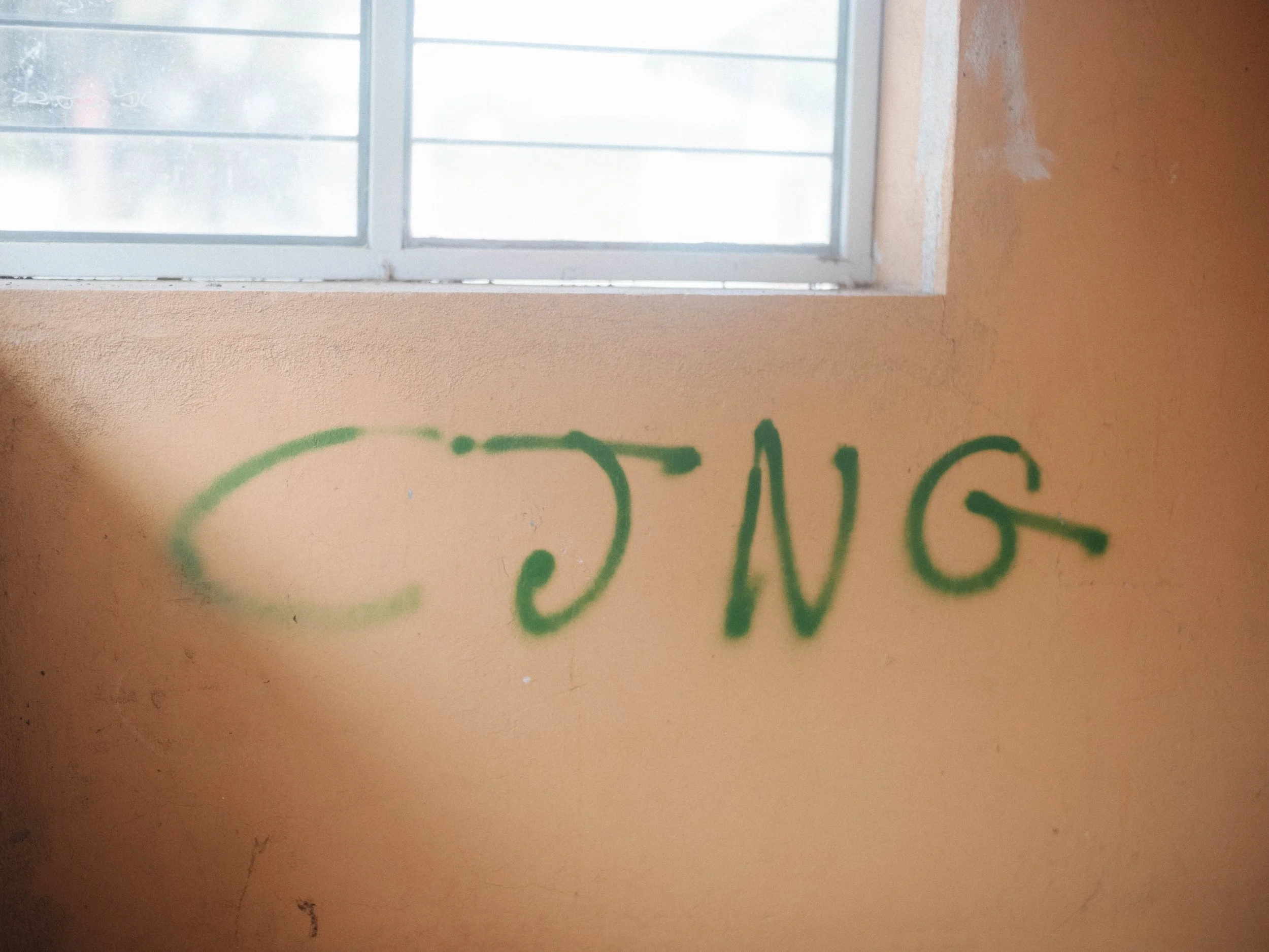 DSCF0231 copia 2.jpg