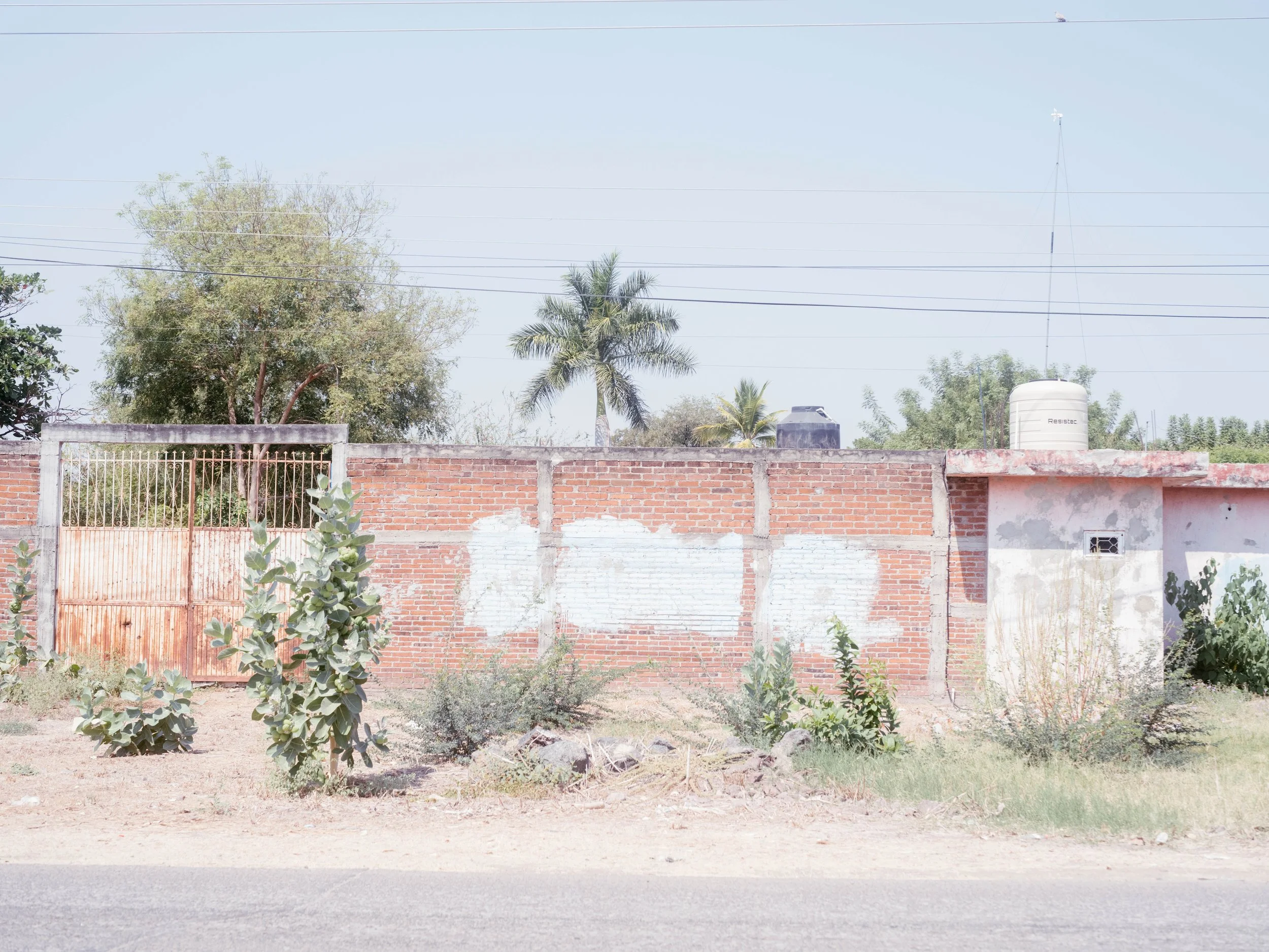 DSCF9485 copia 2.jpg