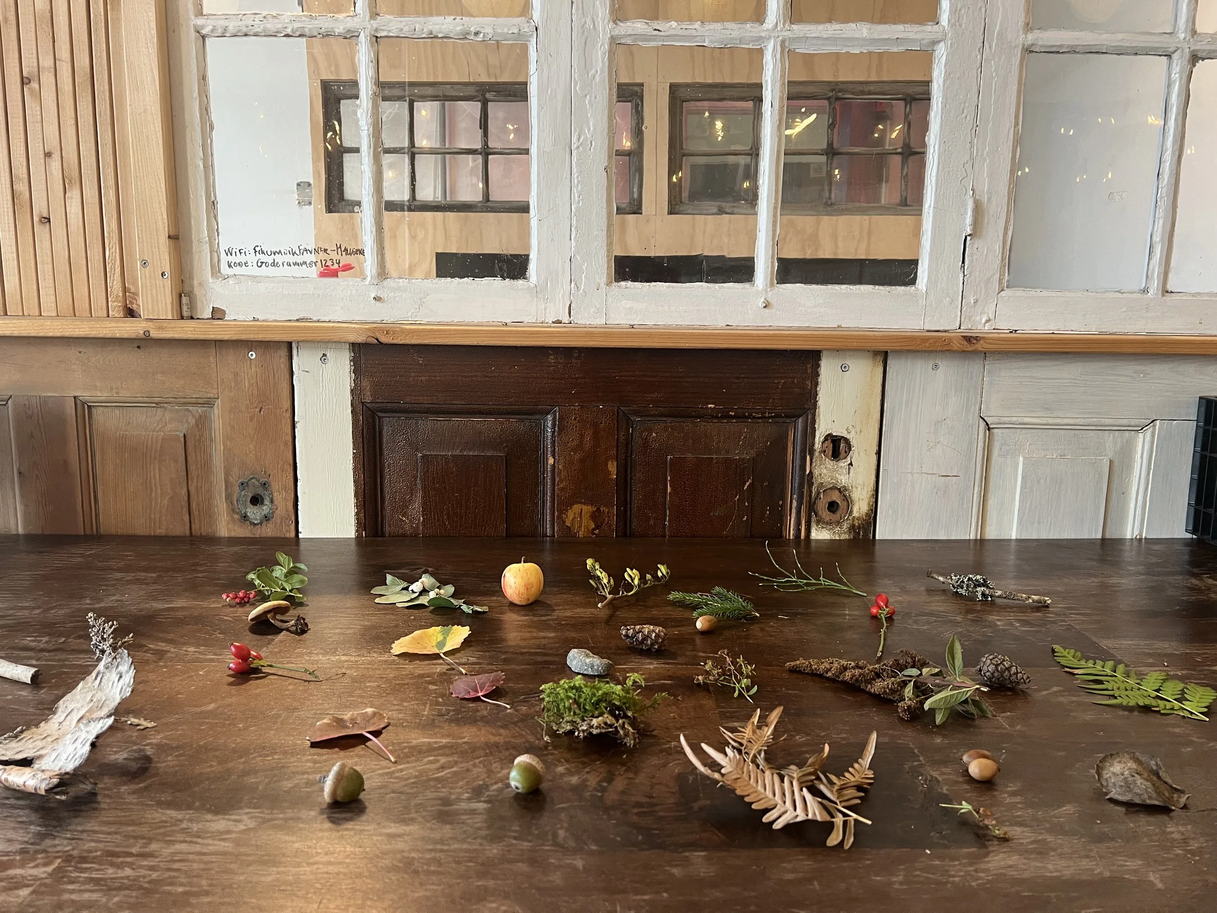 Billede 19.09.2024, 08.24.43.jpg