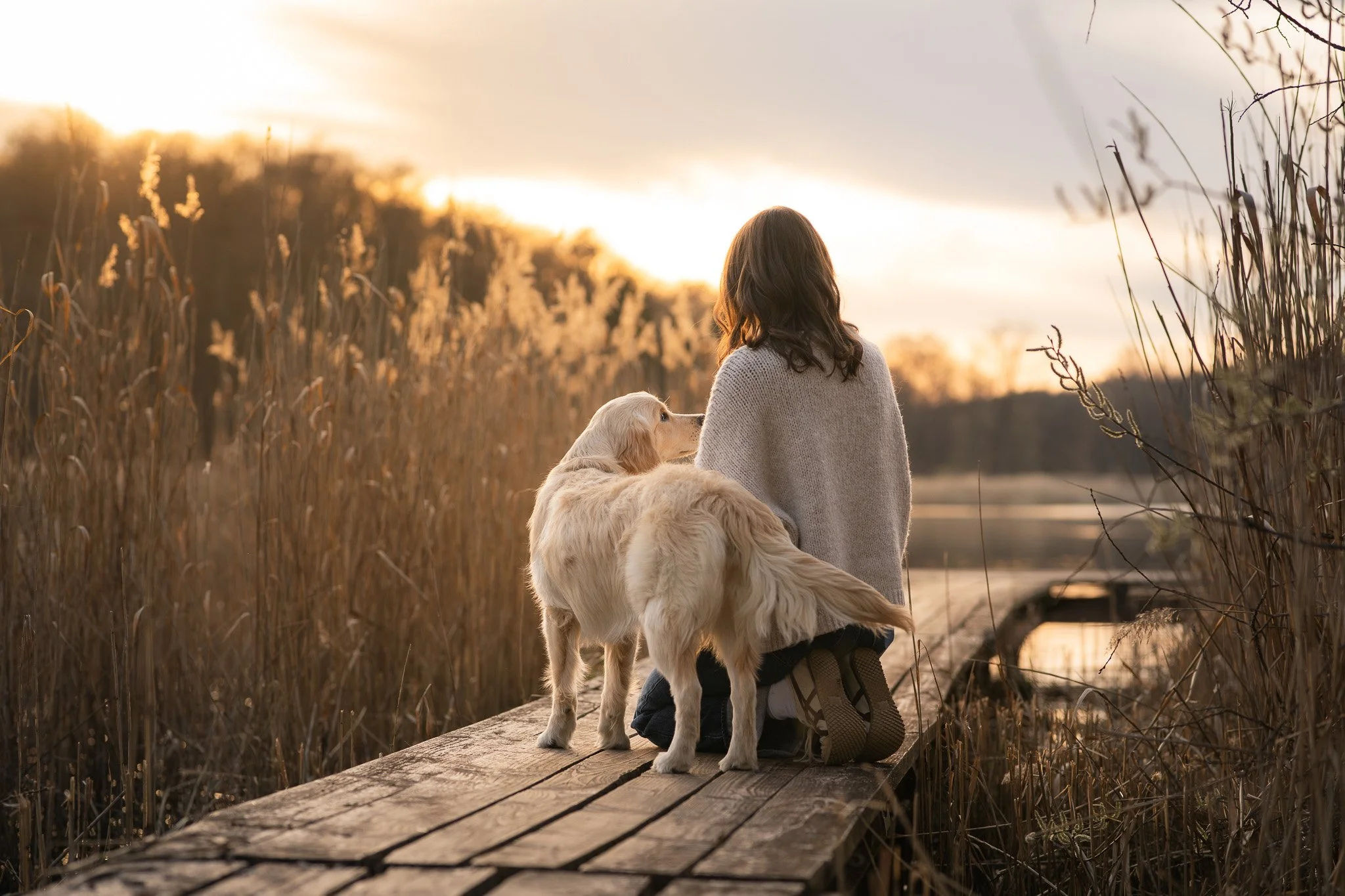 Zur goldenen Stunde am See