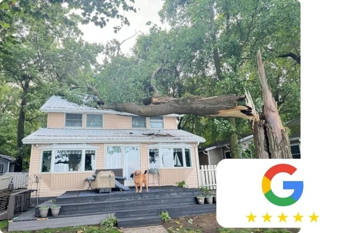 EMERGENCY TREE REVIEW  911 TREE EXPERTS.jpg