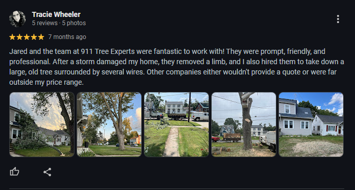 review 2.png