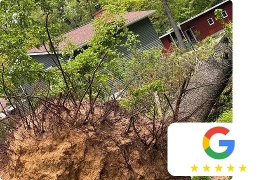 TREE REVIEW KALAMAZOO  (1).jpg