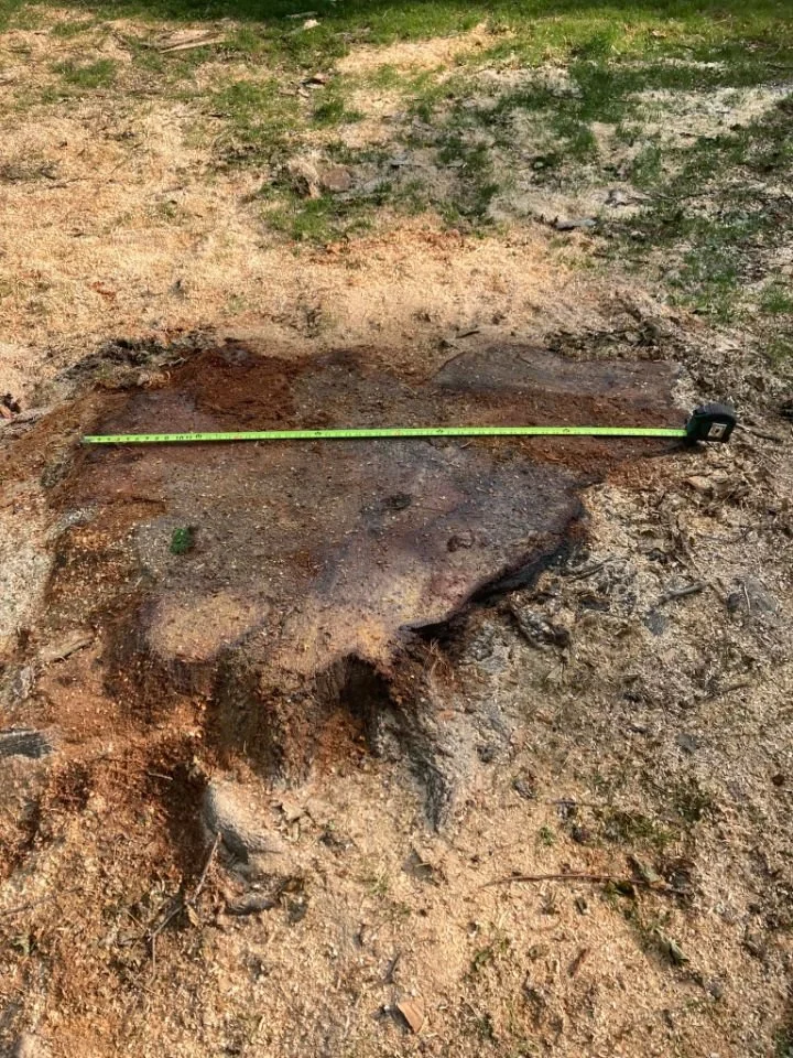 A soil disturbance with a measuring tape stretched across it on dirt and grass terrain.