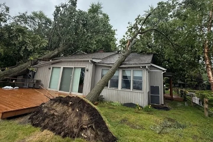 Emergency Tree Removal Services in Oshtemo, MI
