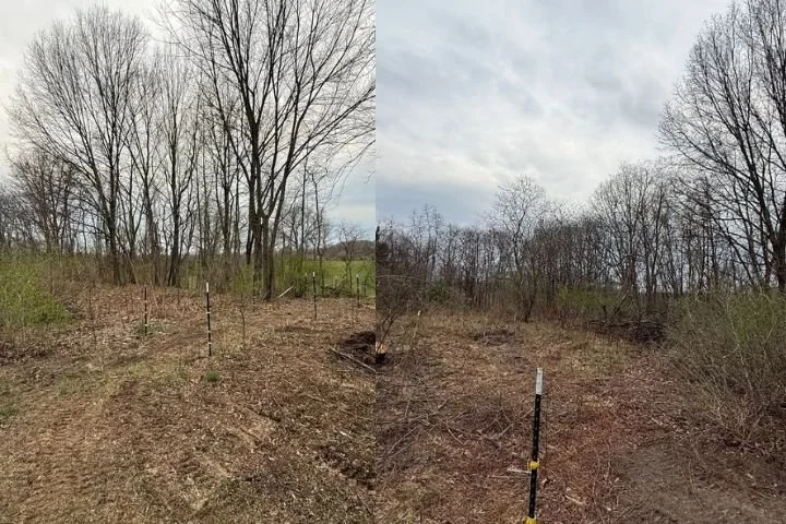 Land clearing in Mattawan, MI before and after
