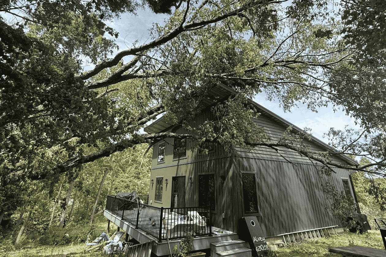 Emergency Tree Removal Services in Sturgis, MI