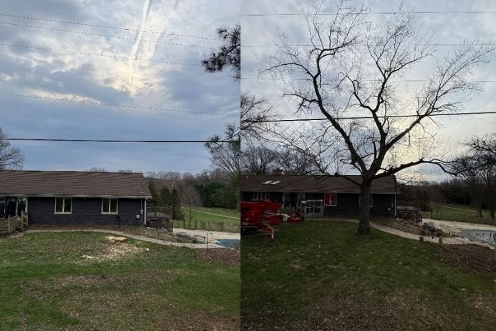 Tree removal near power lines in Mattawan, MI