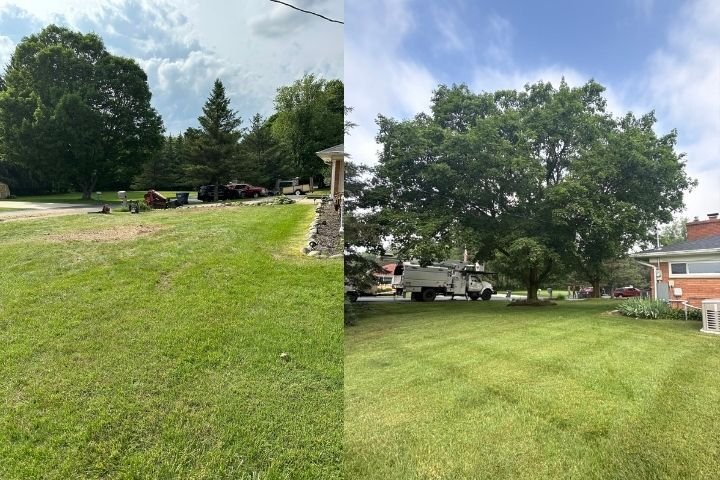 Tree Removal Services in Mattawan, MI