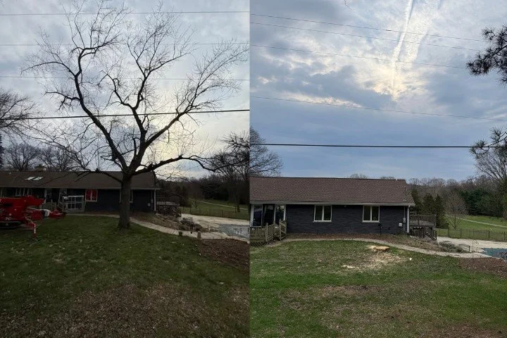 Split image showing a backyard with a large leafless tree, grass, and a house with a deck on the left, and a clearer sky with some clouds, a house with a deck, and green trees in the background on the right.