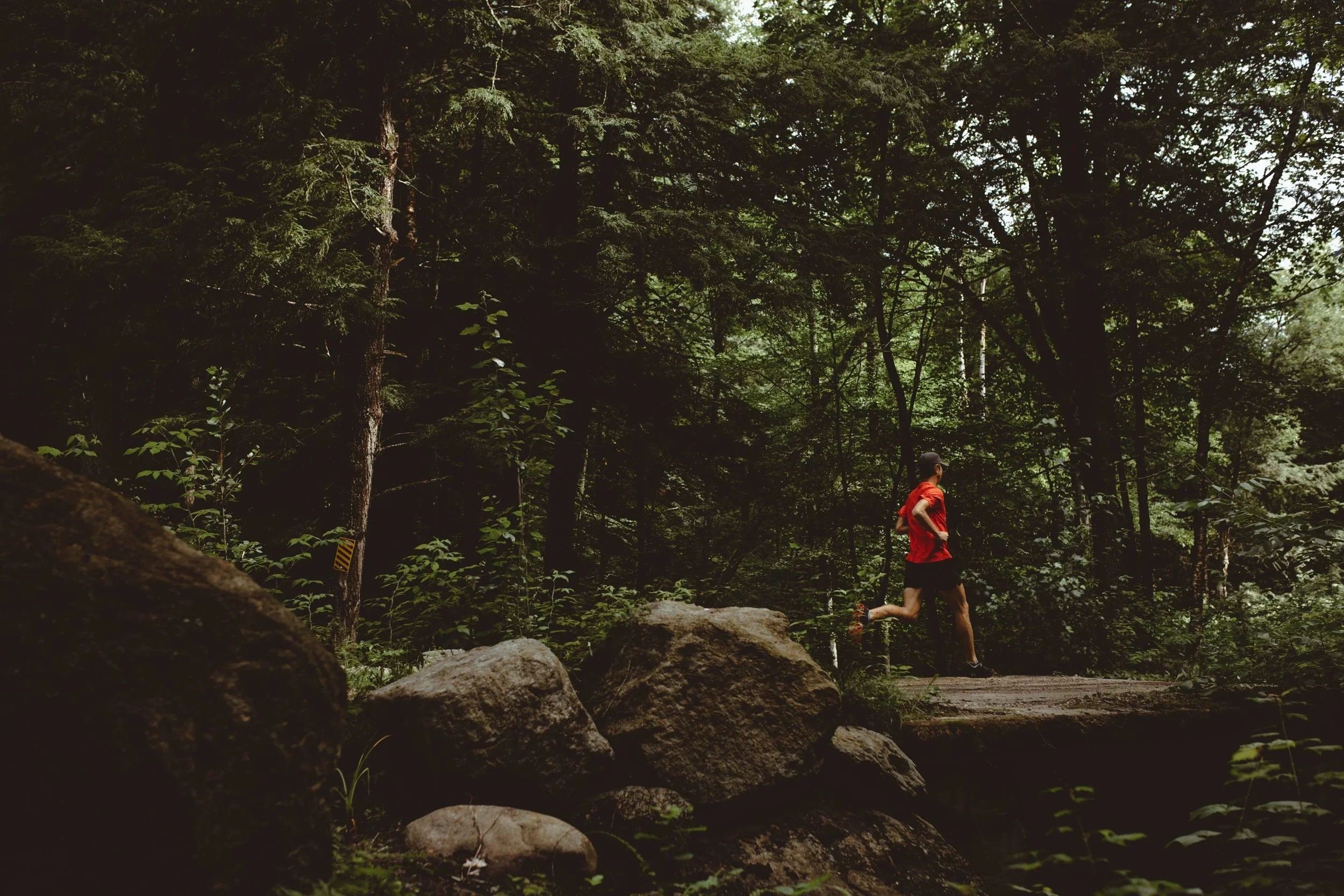 UA_HitTheTrails-0088.webp