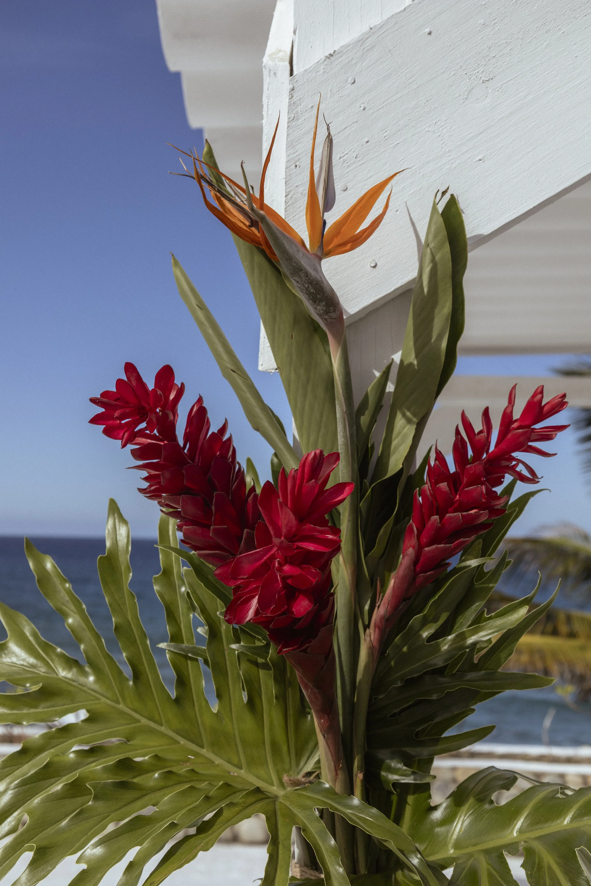 Boda Mauricio y Esther-21.jpg