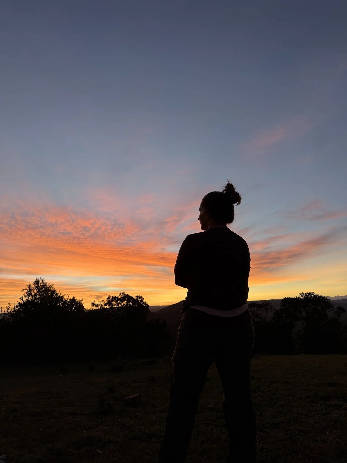 A Day on Safari: What It Actually Looks Like