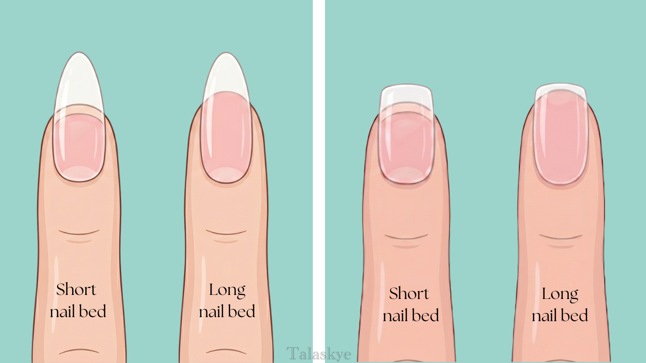 talaskye-long-and-short-nail-bed-difference.png