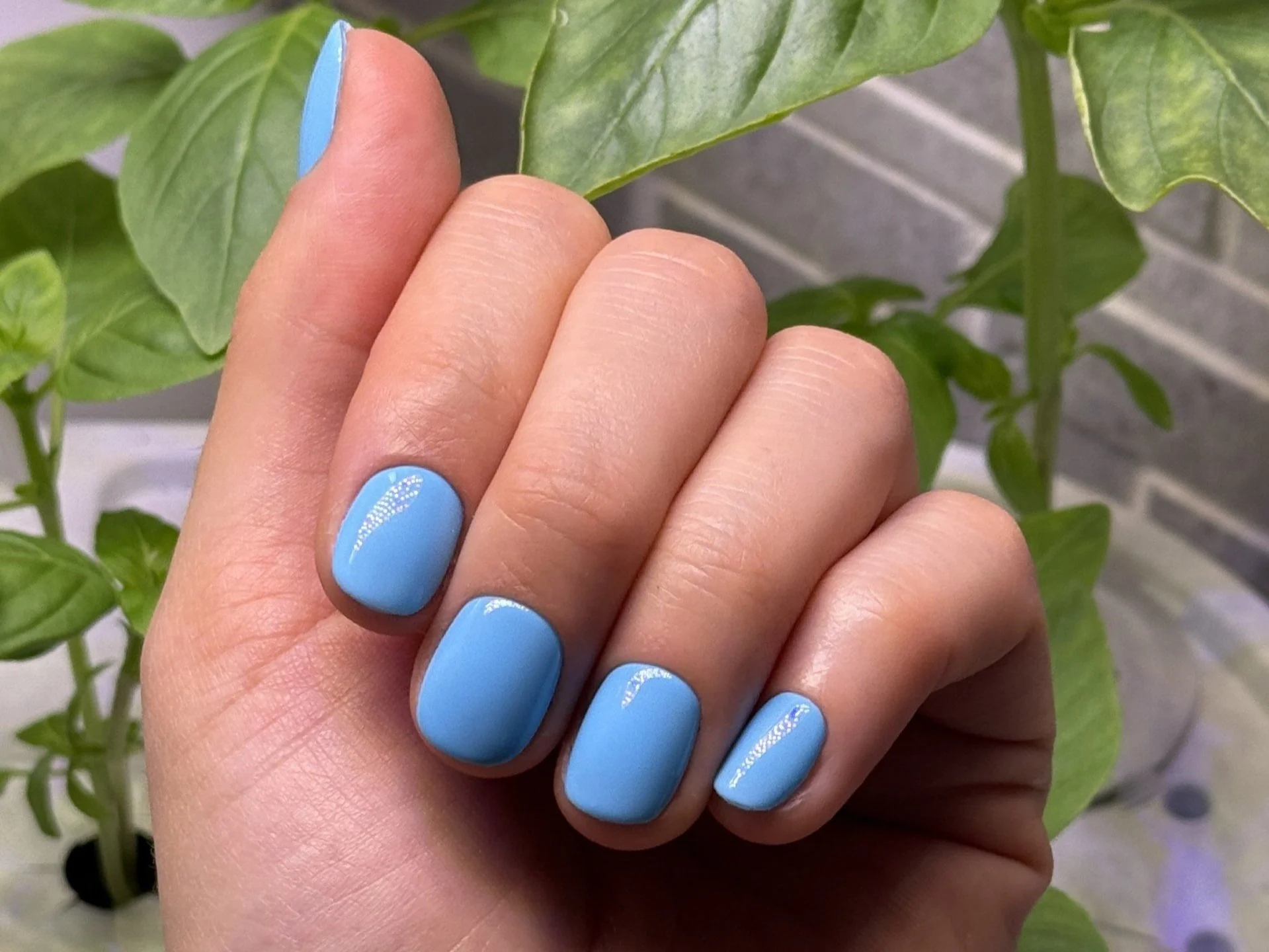 How to fix press-on nail problems like a pro
