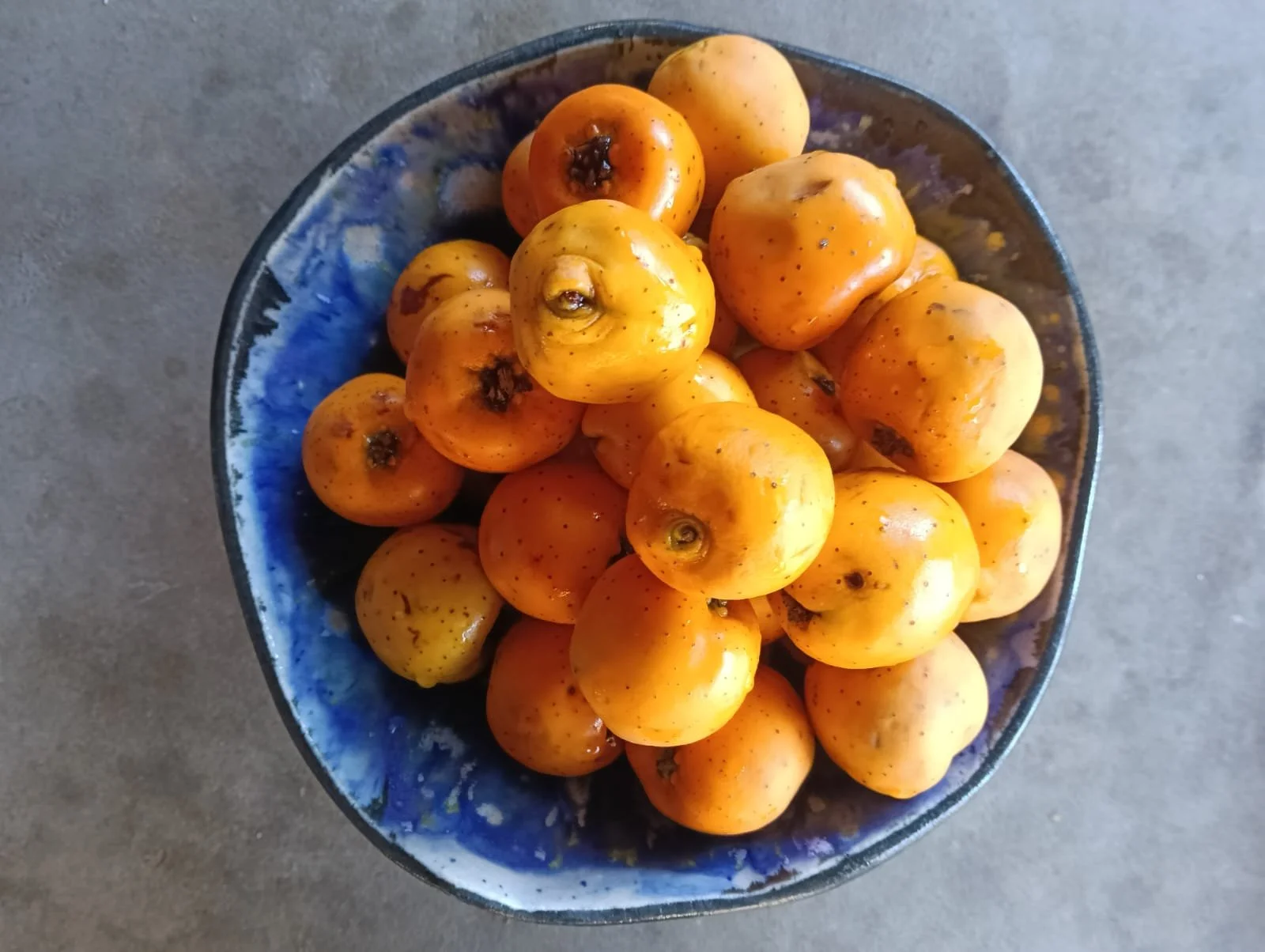 WhatsApp Image 2026-04-02 at 12.32.43 (3).jpeg