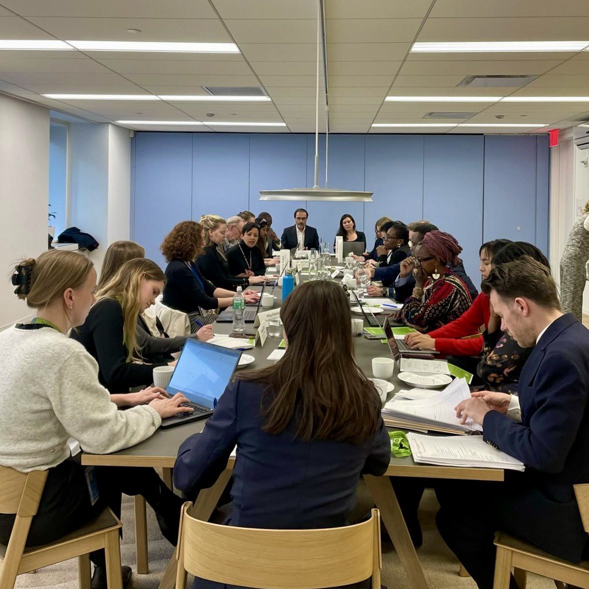 March 2025 Denmark briefing.jpeg