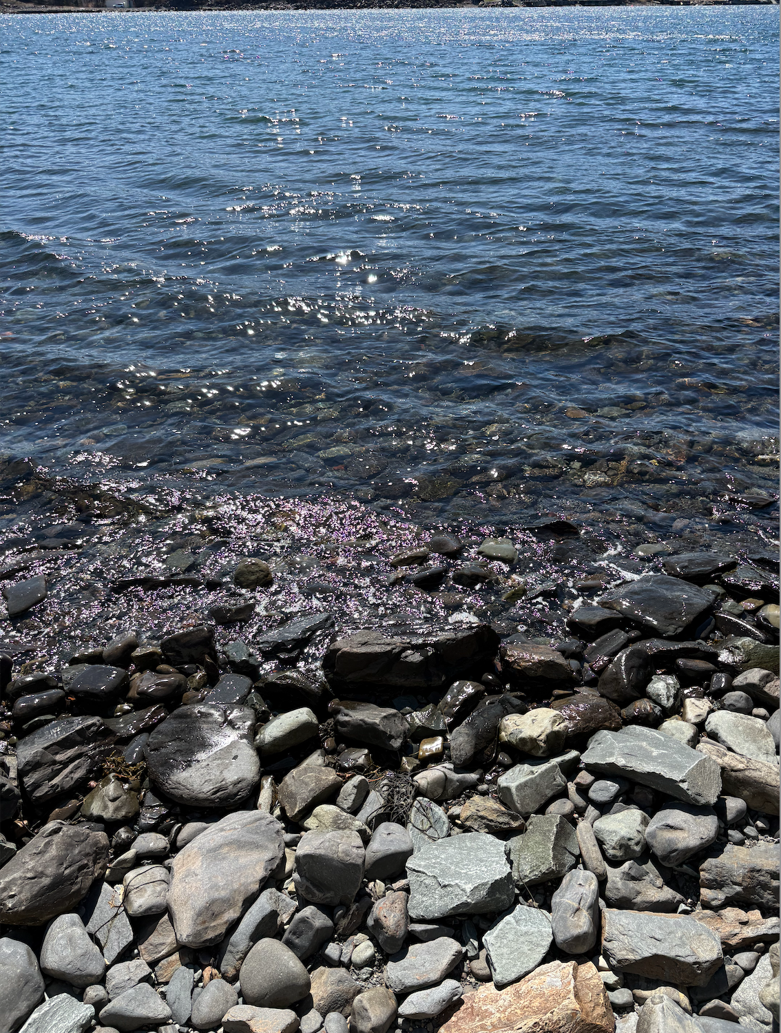 Screenshot 2025-05-02 at 11.15.27 AM.png