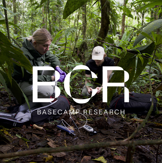 Basecamp Research 
| A new type of biodiscovery, discovering and harnessing nature's most valuable proteins.