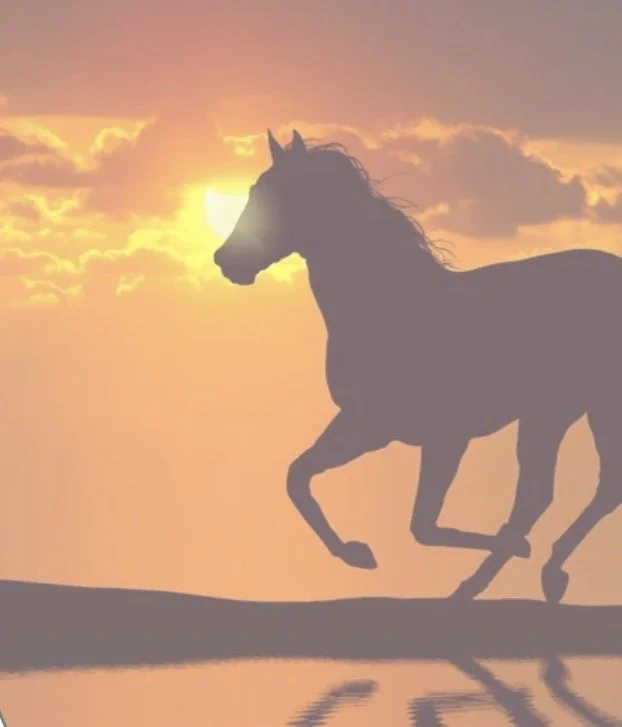 Silhouette of a running horse against a sunset sky with clouds