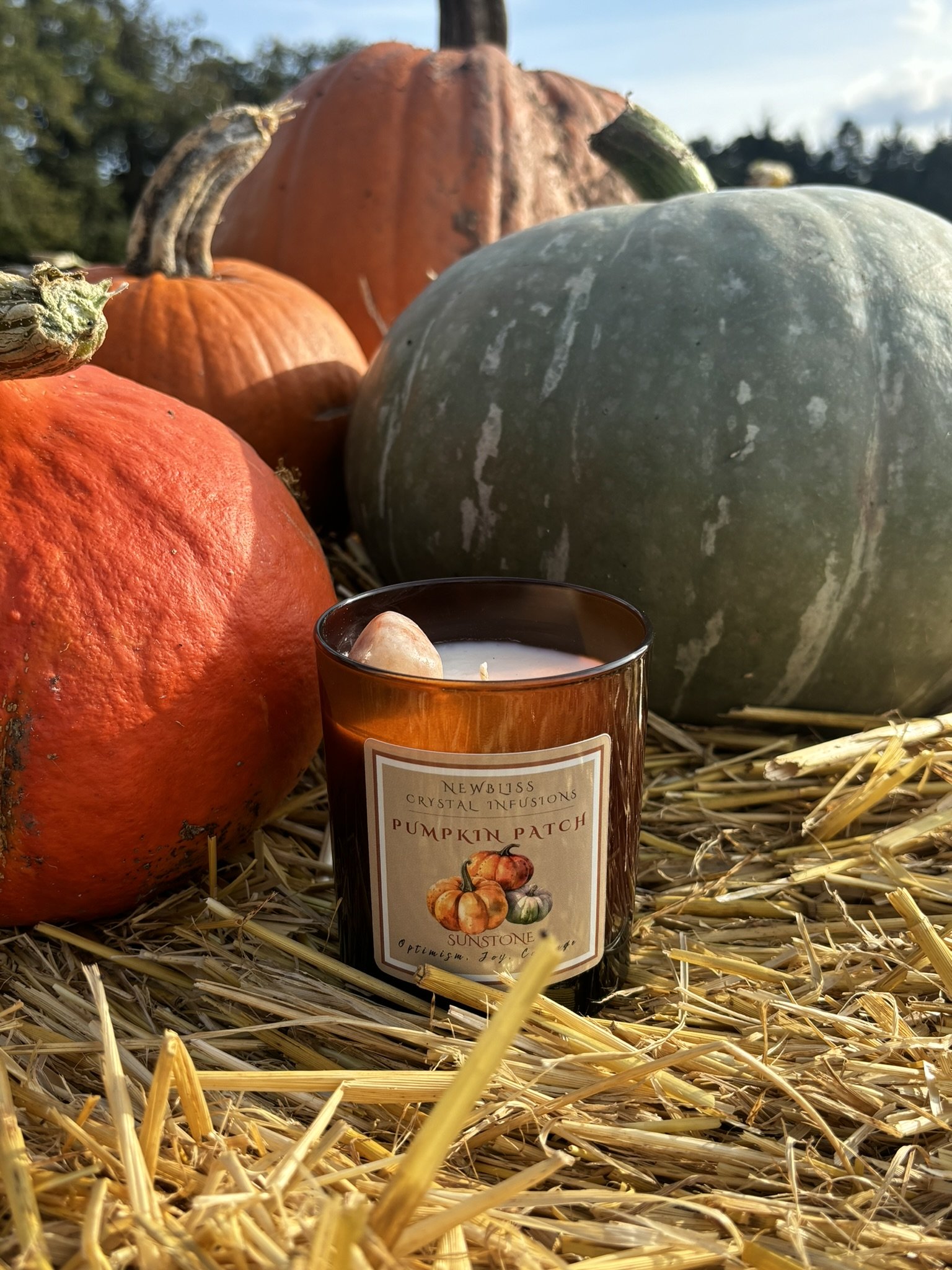 Pumpkin Patch Candle