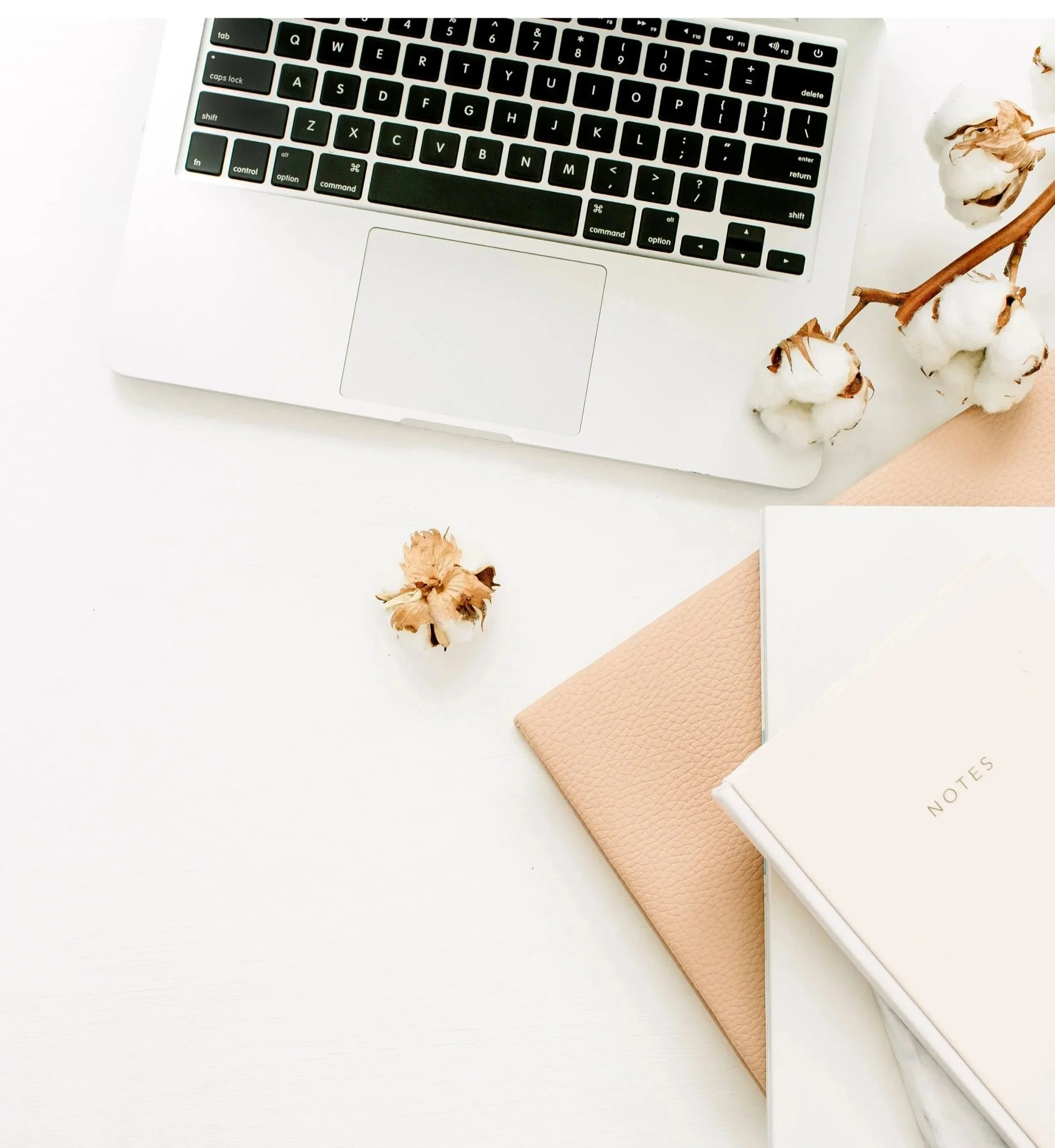 Open laptop with black keyboard, pink notebook, white notes planner, cotton flowers on a white surface.