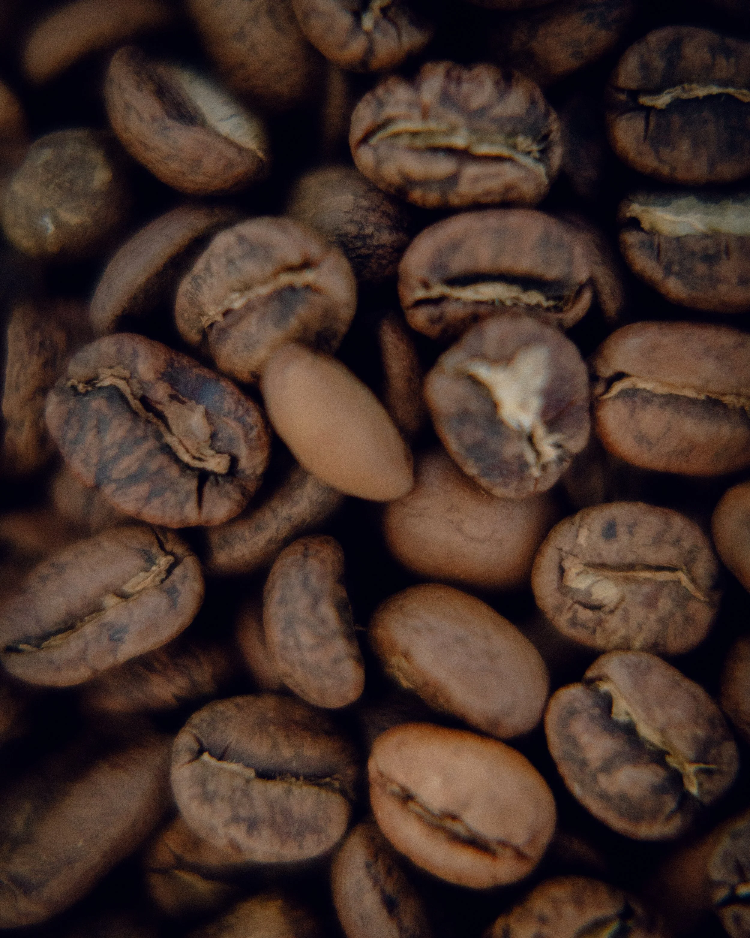 Close-up of roasted coffee beans showing their brown color and textured surface.