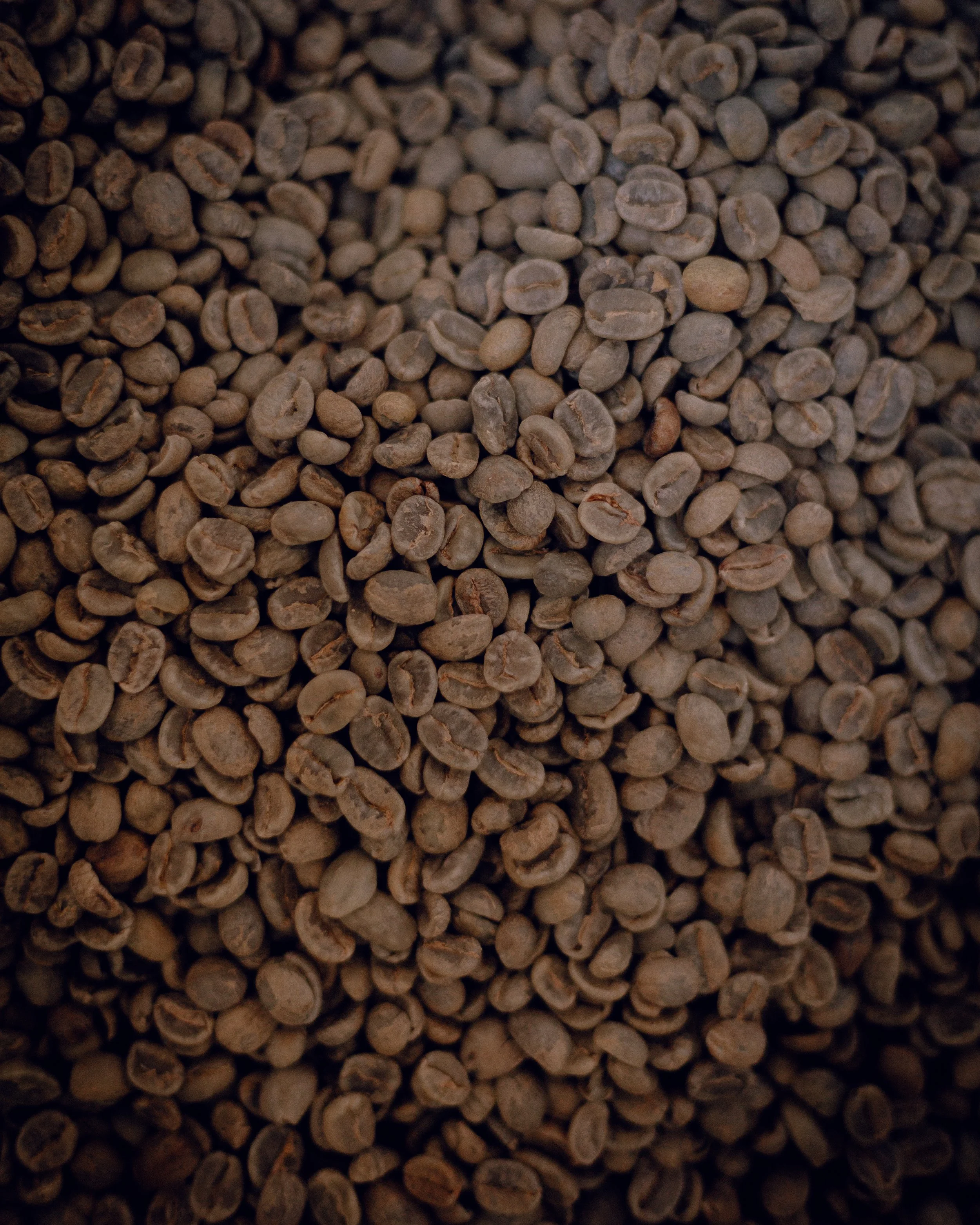 CeramicRoastingBTS-6.JPG