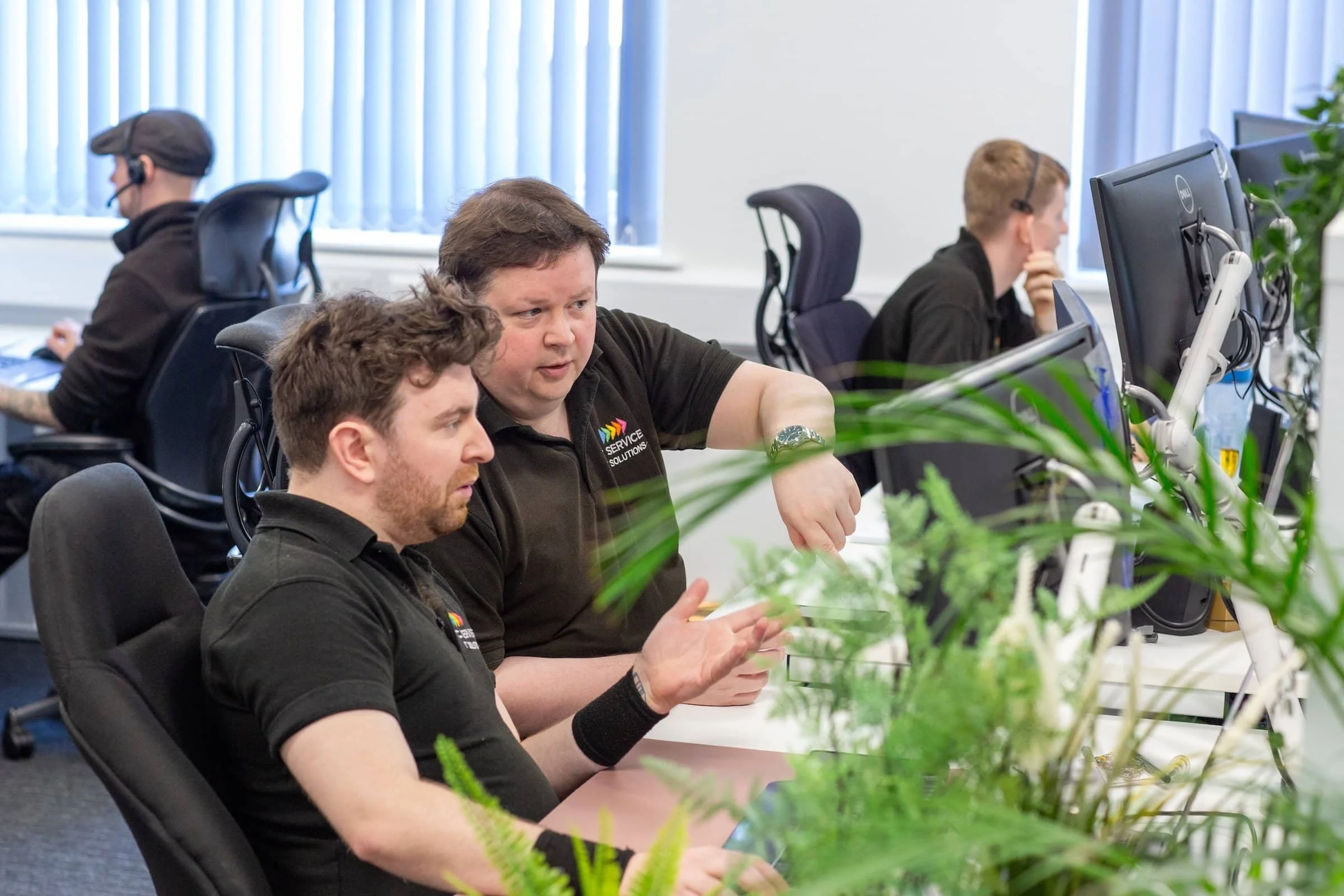 Office workers in black shirts discussing at a desk with computers and green plants in the foreground.