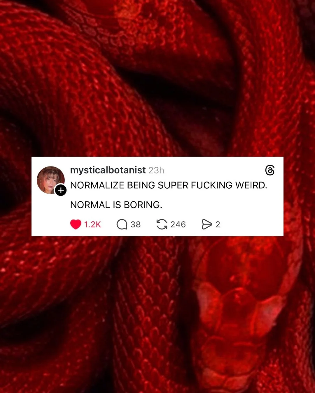 where the weird witches at?! 👽💕