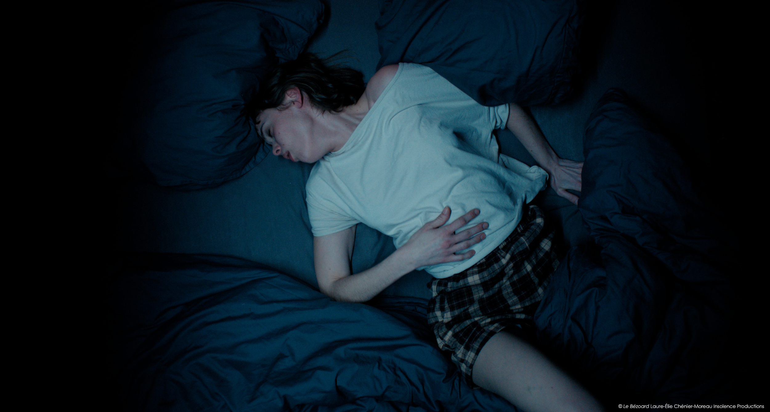 Still 1 Le Bezoard