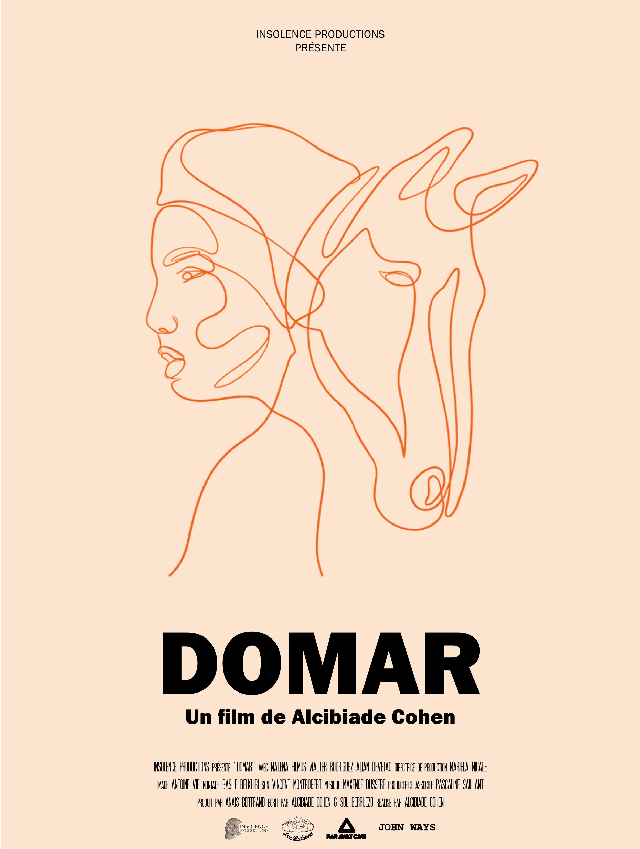 Domar movie poster