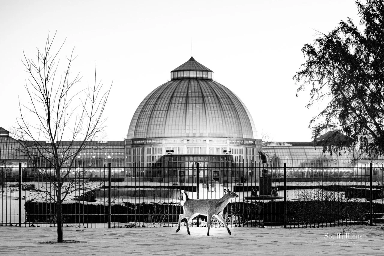 Soulfullens by Gita-162 Large.jpeg