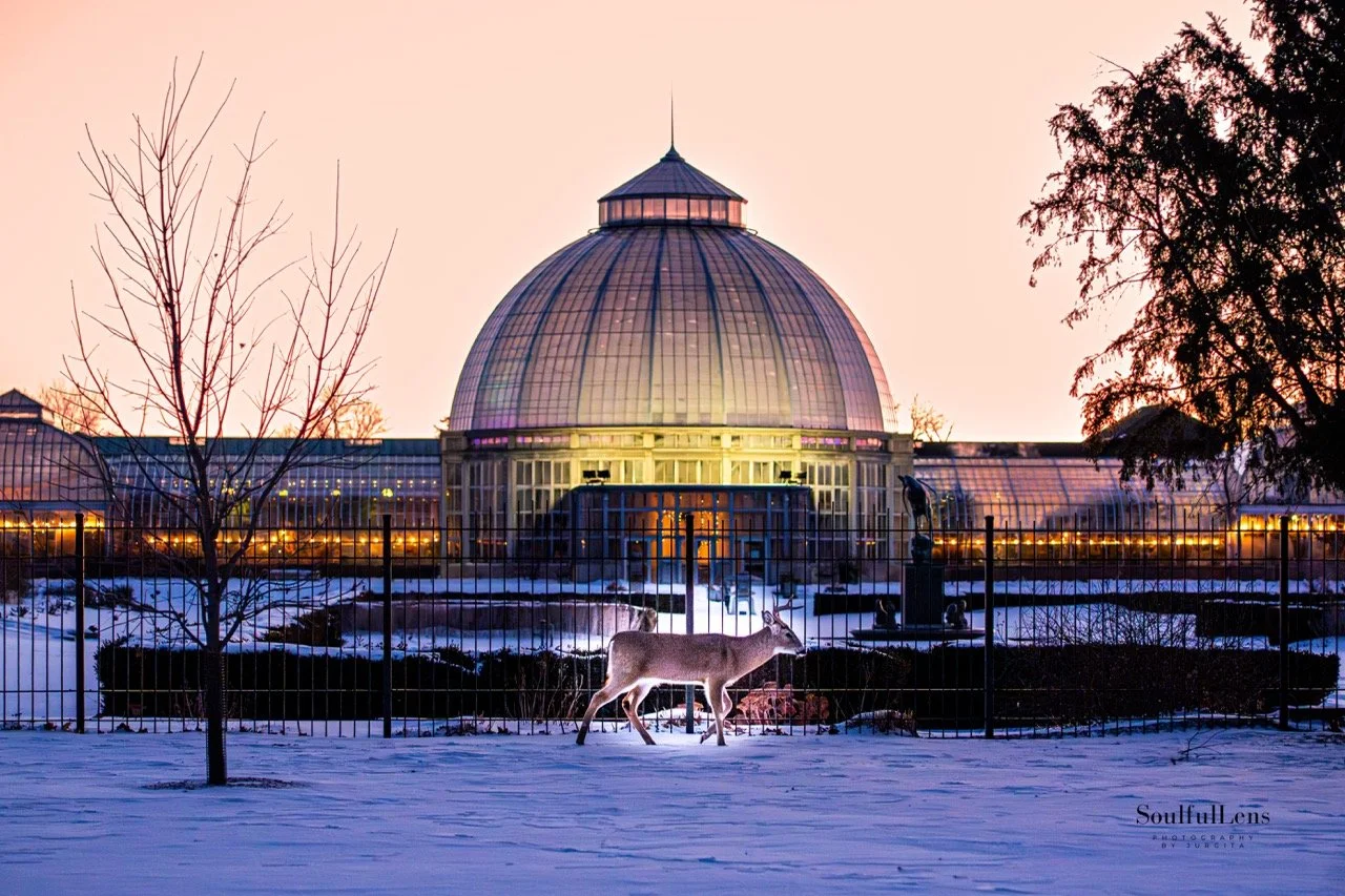 Soulfullens by Gita-146 Large.jpeg