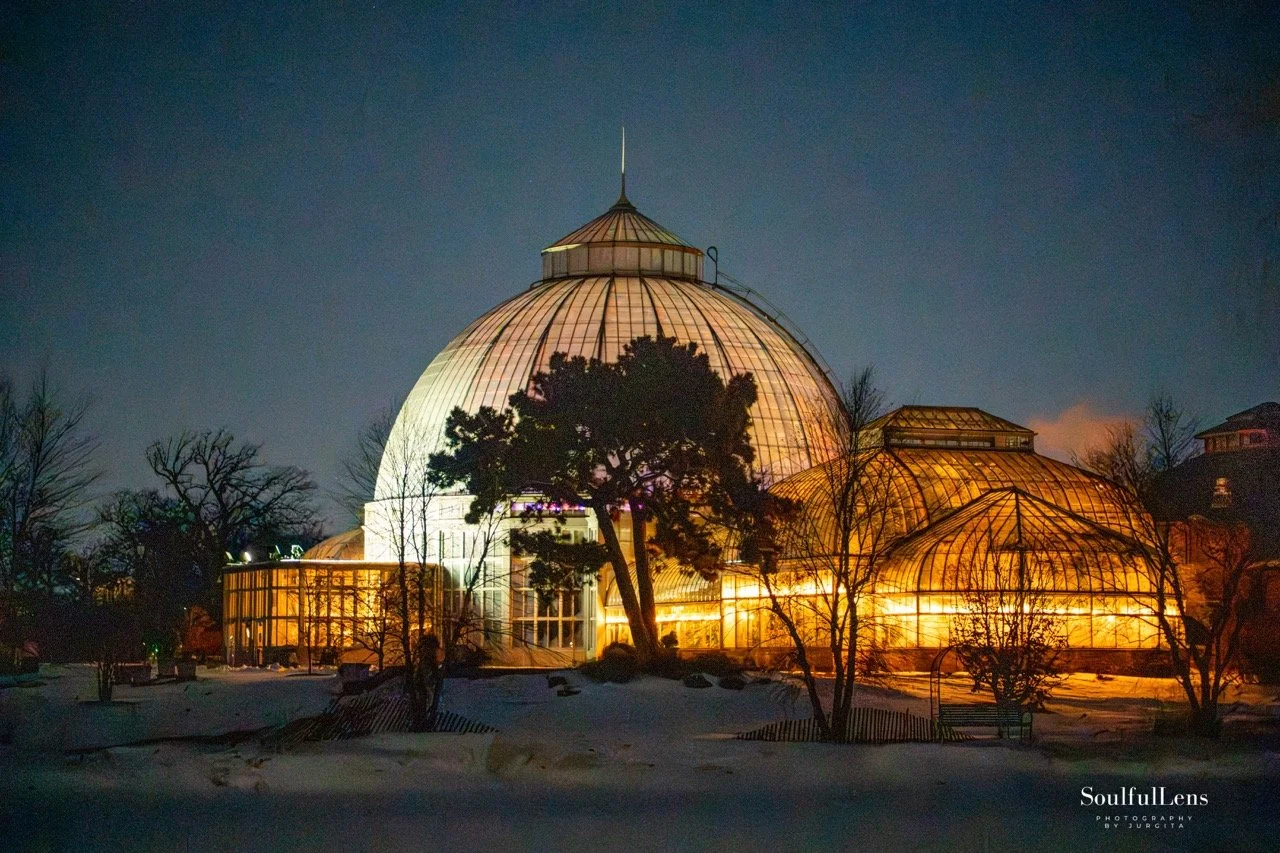 Soulfullens by Gita-143 Large.jpeg