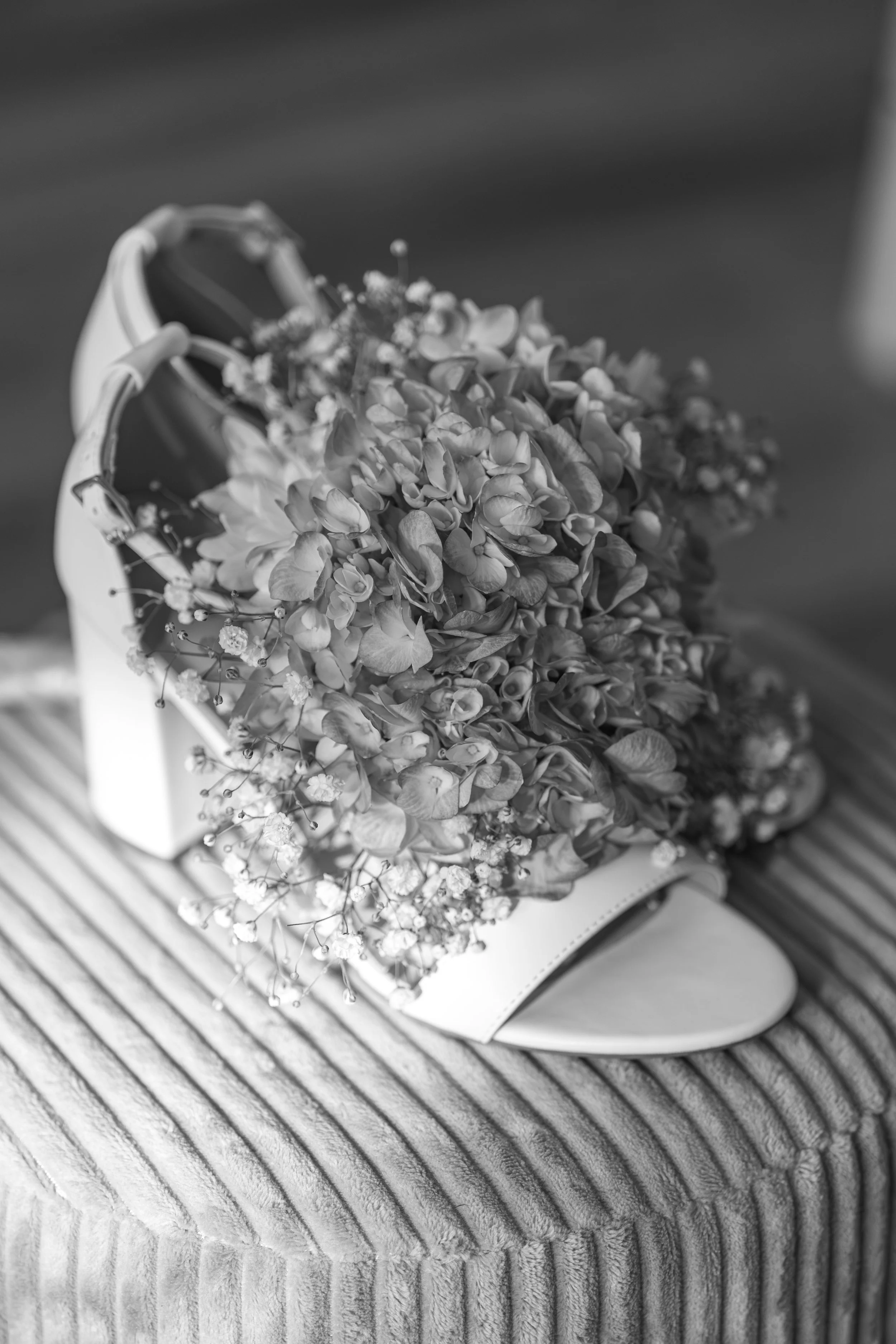 Izabela-33.jpg
